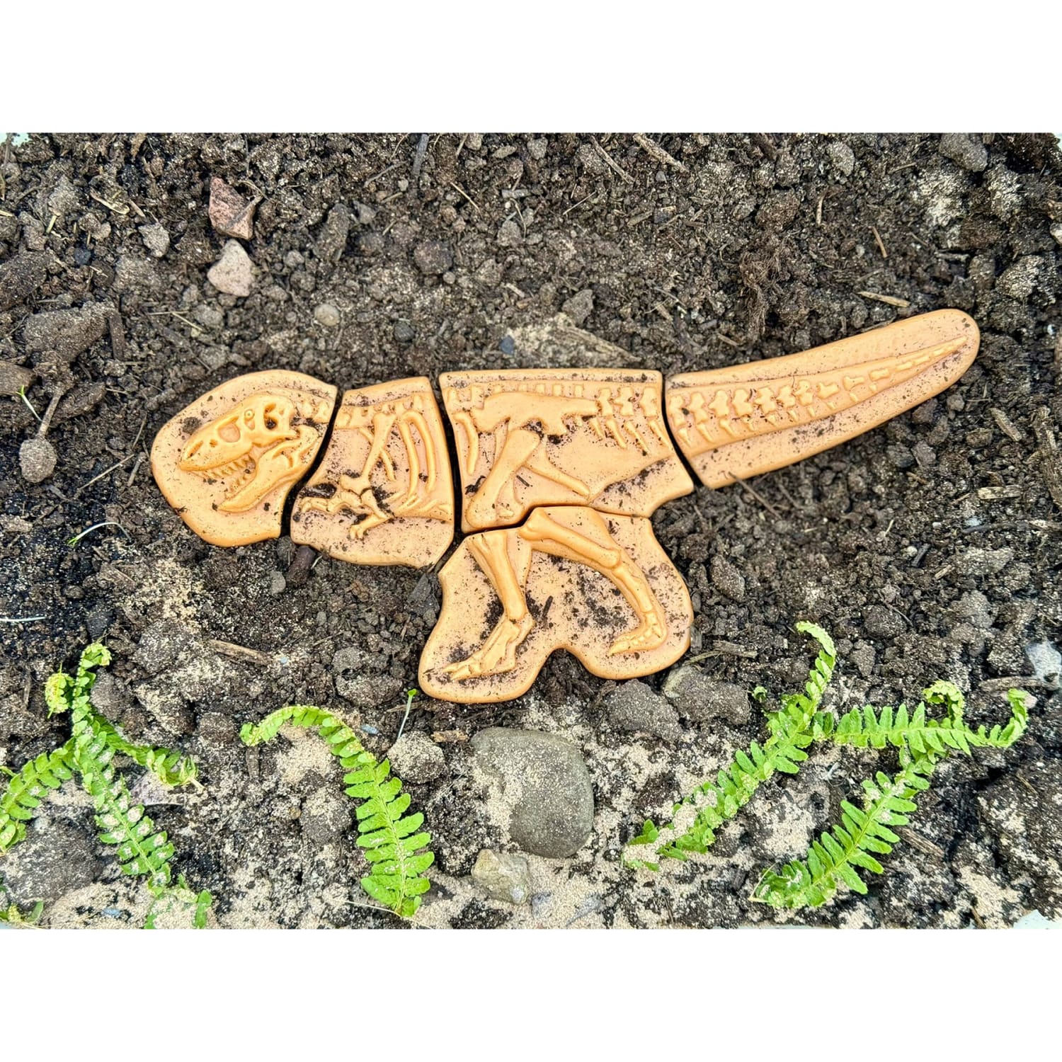 Yellow Door Dig and Discover, Ankylosaurus & Tyrannosaurus Rex - Image 5
