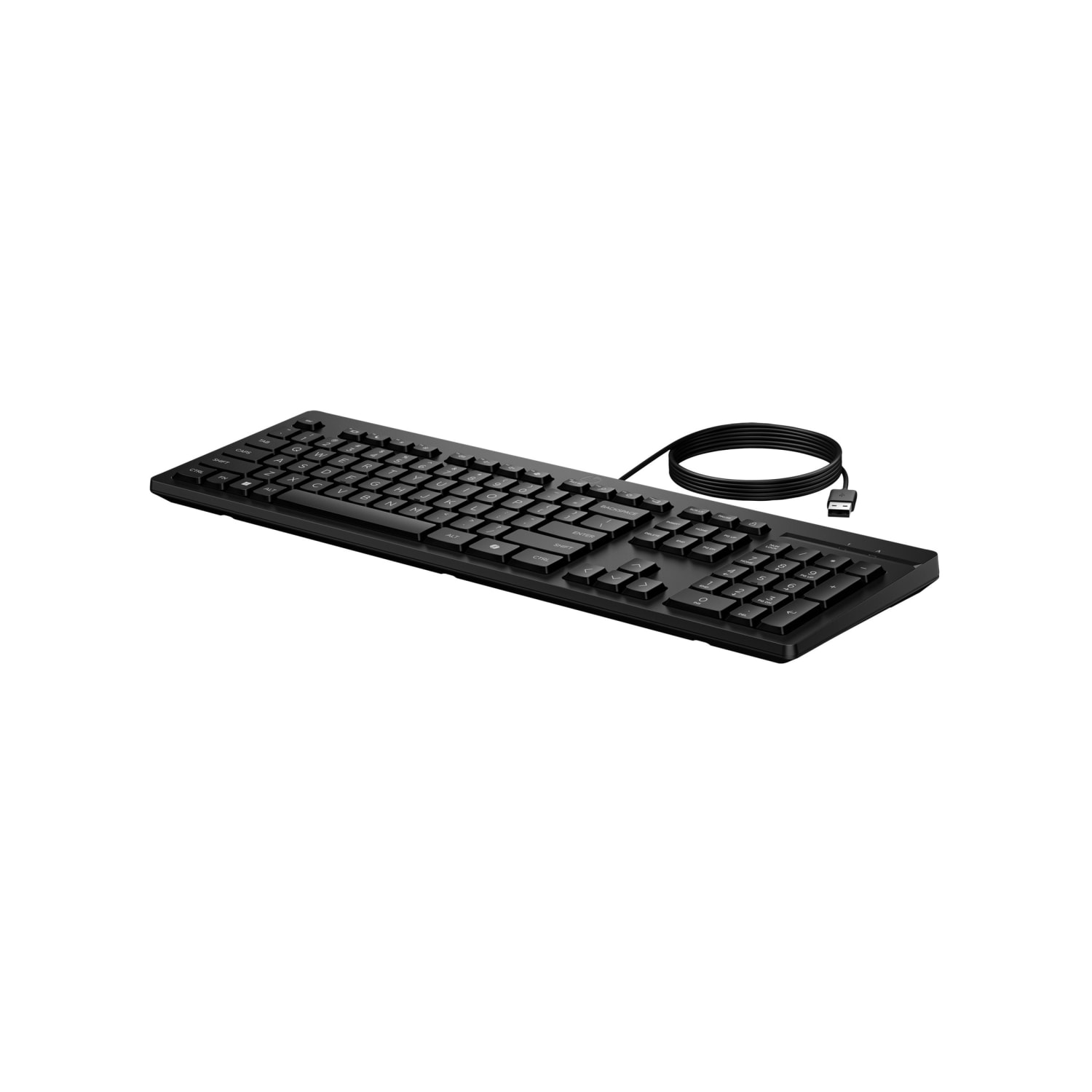 HP 125 Wired Keyboard (AY2Y7AA), AY2Y7AAABA - Image 4