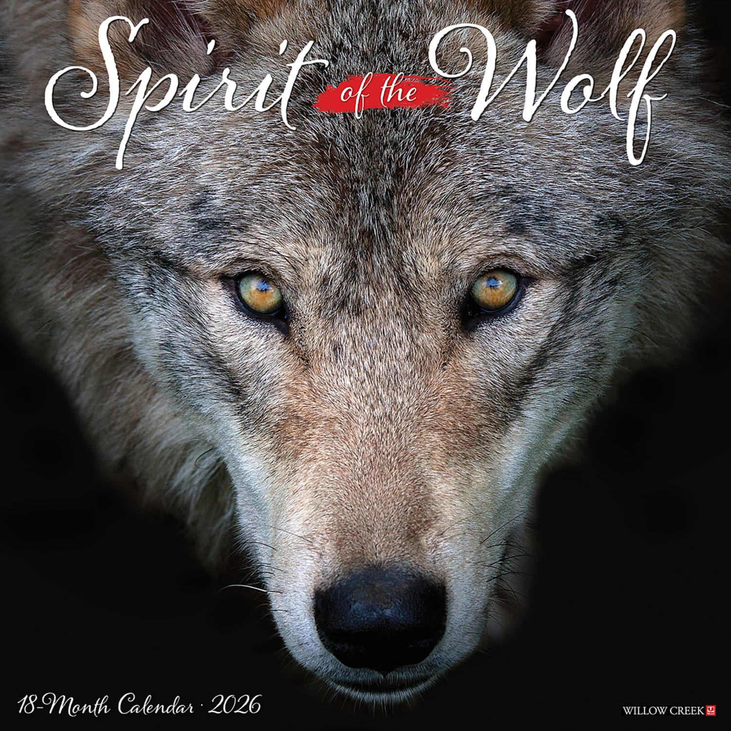 2026 Willow Creek Press Animals Monthly Wall Calendar, 12in x 12in, Spirit of the Wolf, January To December, 52884