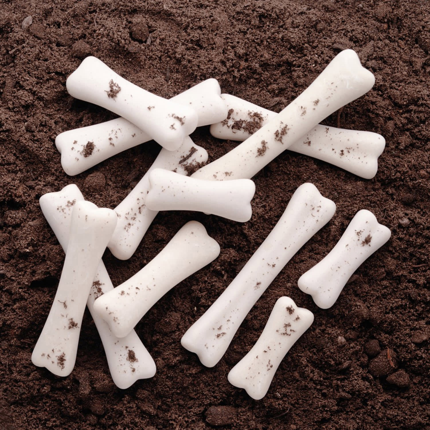 Yellow Door Dinosaur Bones 12-Piece Discovery Set, White, Pre-K - Image 3