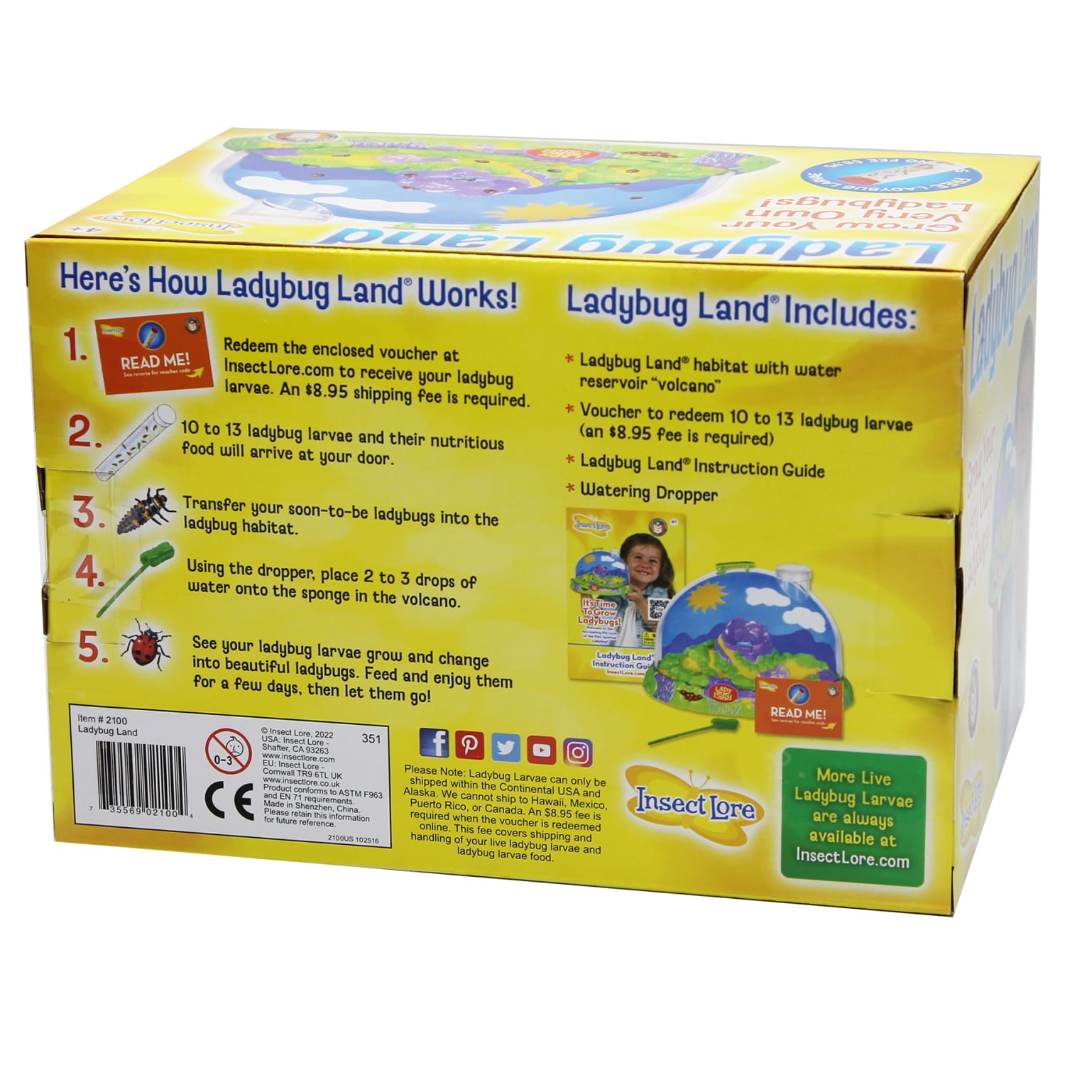 Insect Lore Ladybug Land Growing Kit - Image 6