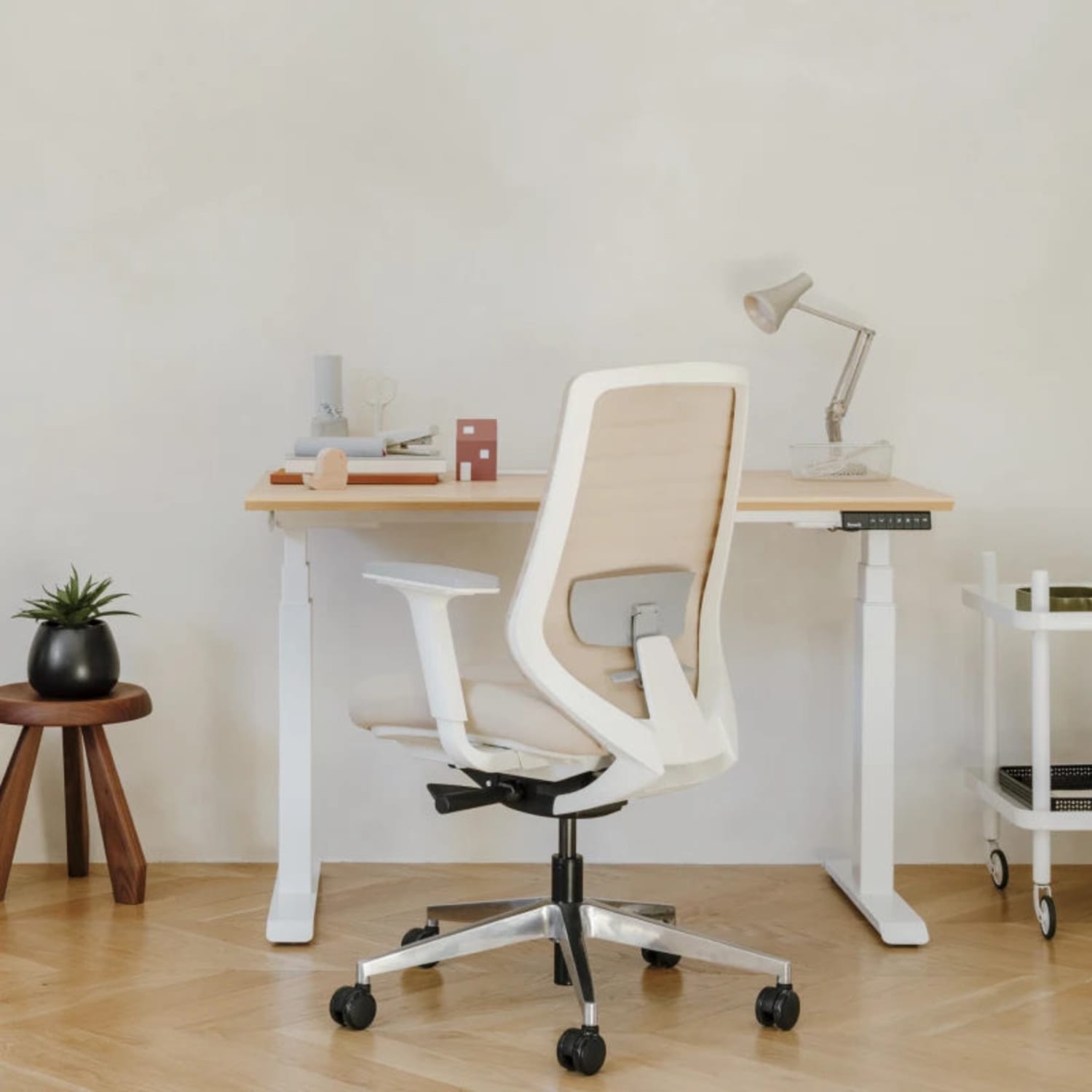 Branch Furniture Ergonomic Task Chair Sand PopularChairscom