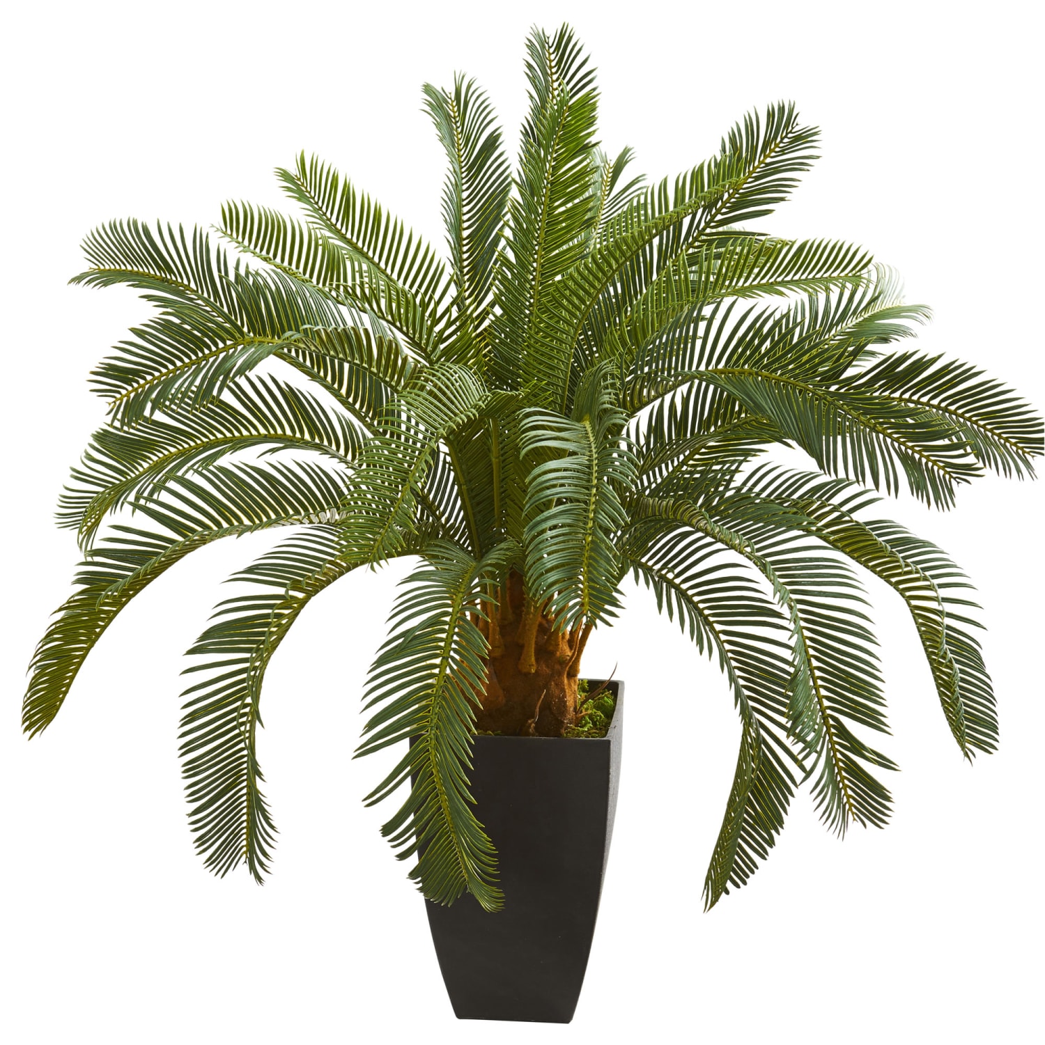 Nearly Natural 30inH Cycas Artificial Plant, 30inH x 12inW x 12inD, Black/Green