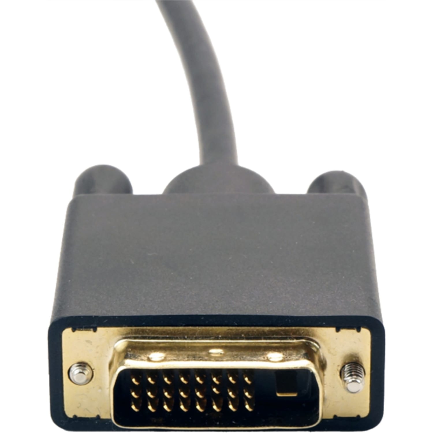 VisionTek mini DisplayPort to SL DVI 1.8M Active Cable (M/M), 900800 - Image 4
