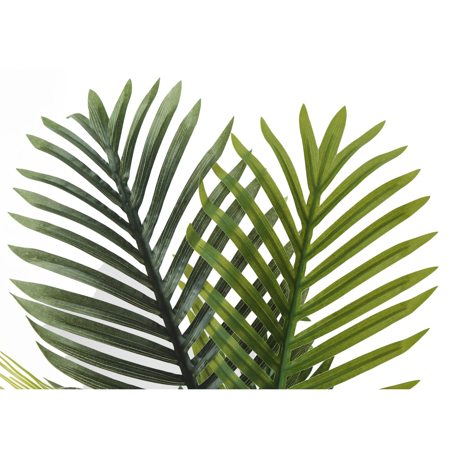 Monarch Specialties Tassa 27-1/2inH Artificial Plant With Pot, 27-1/2inH x 26inW x 24inD, Green - Image 5