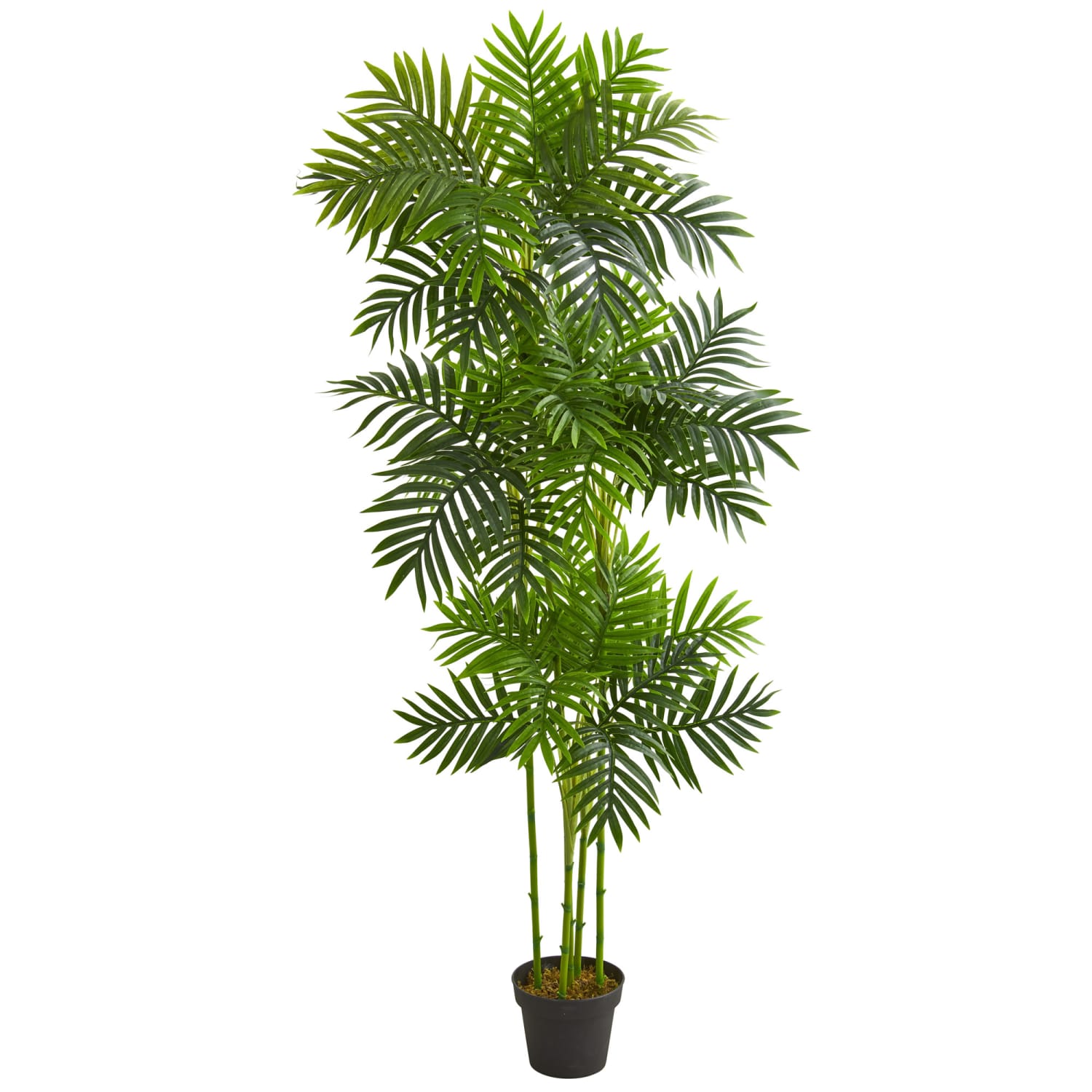 Nearly Natural Phoenix Palm 72inH Artificial Tree With Pot, 72inH x 15inW x 15inD, Green