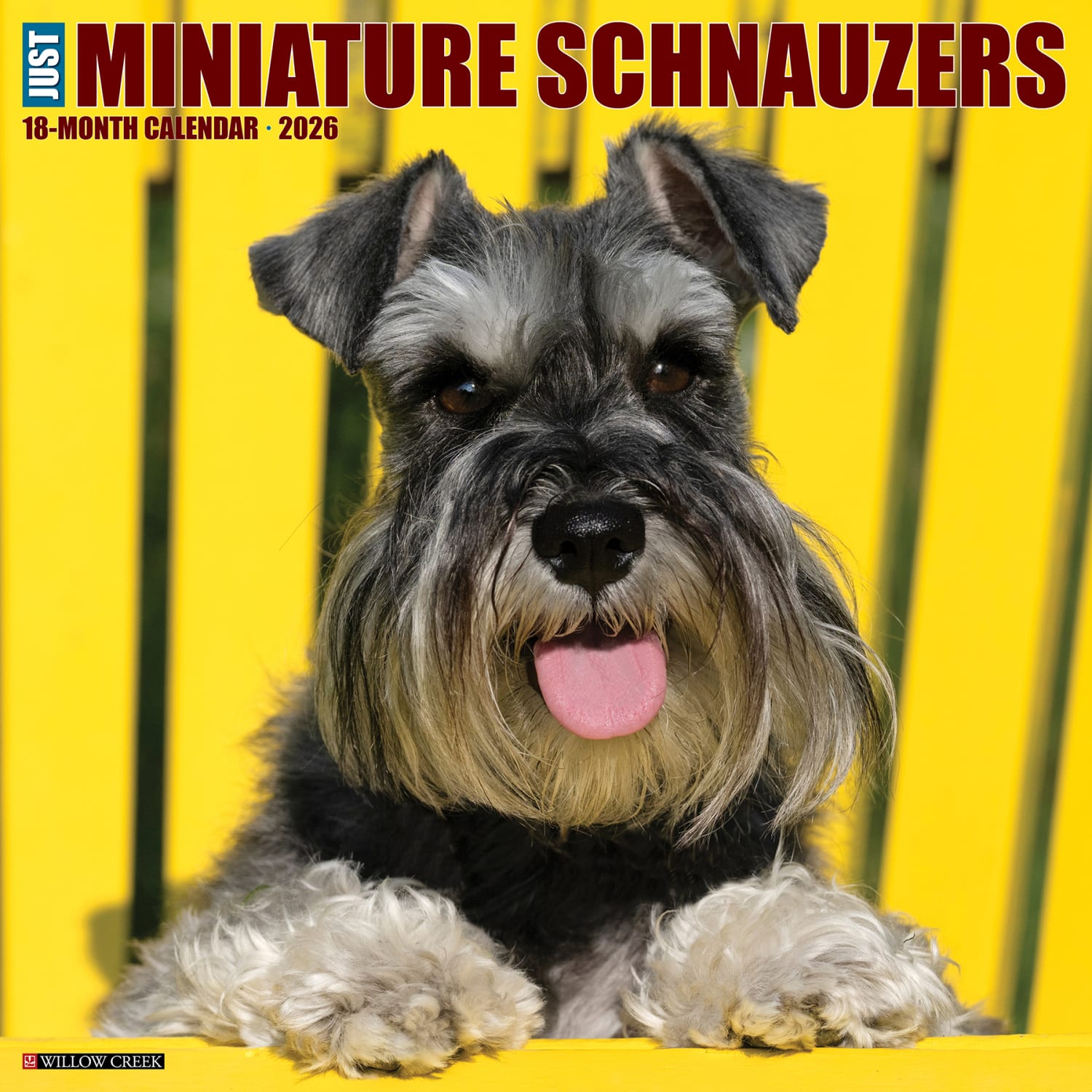 2026 Willow Creek Press Animals Monthly Wall Calendar, 12in x 12in, Miniature Schnauzers, January To December, 55502 - Image 3