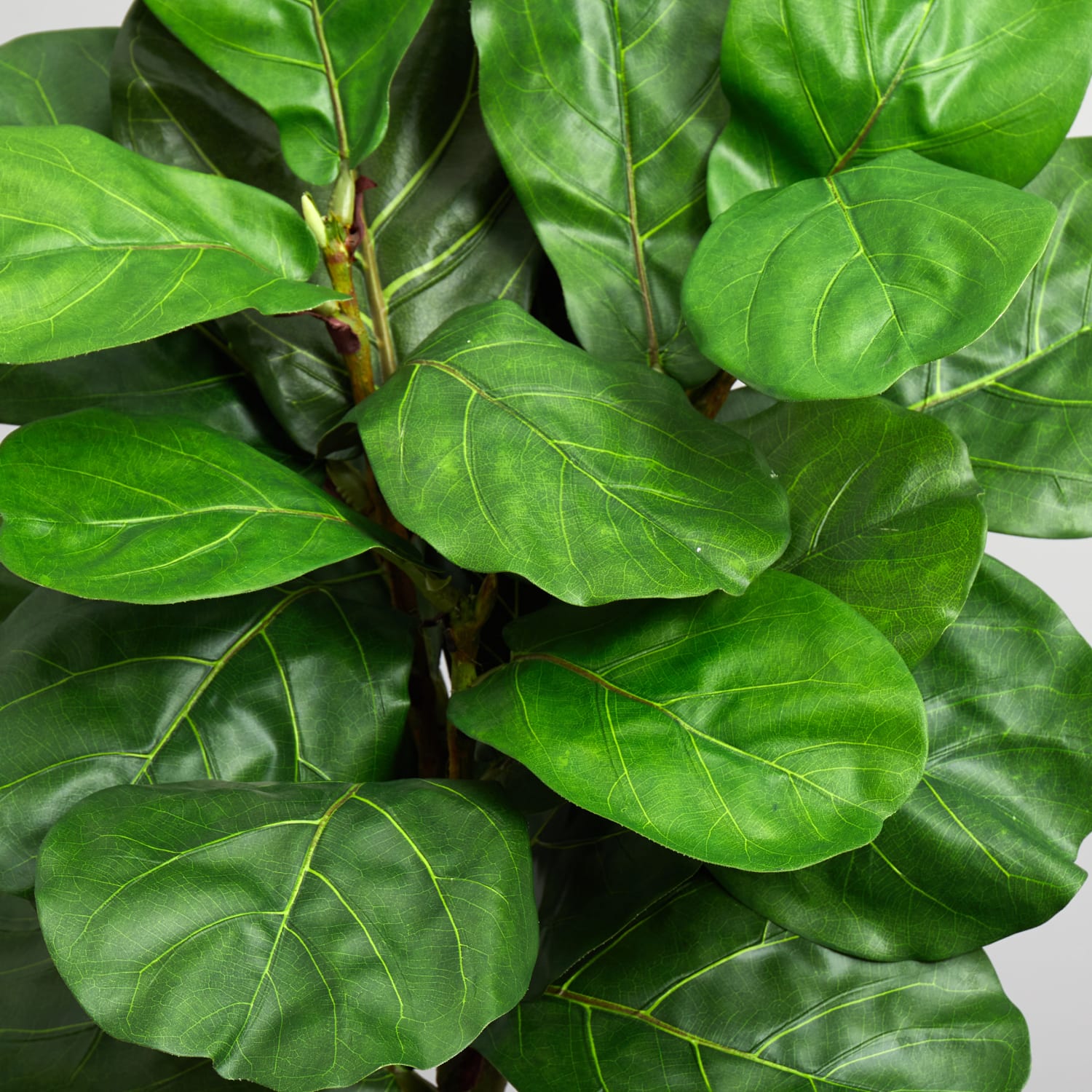 Nearly Natural Fiddle Leaf 66in Artificial Tree With Tower Planter, Green/White - Image 5
