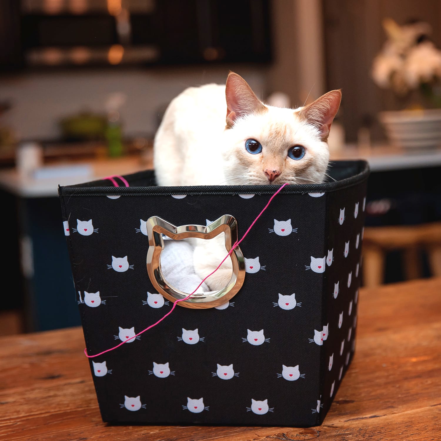 Advantus Fabric Cat Toy Bin, 10inH x 10-3/4inW x 14-1/2inL, Black - Image 6