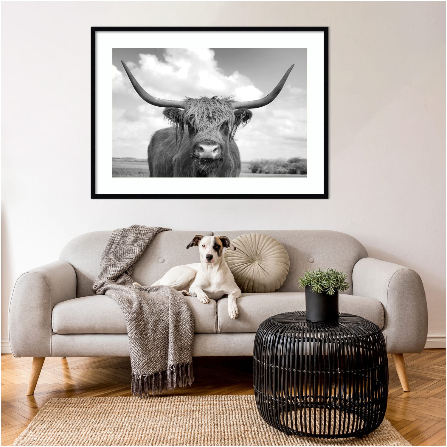 Amanti Art Highland Cow On the Ranch by Andre Eichman Wood Framed Wall Art Print, 30inH x 41inW, Black - Image 6