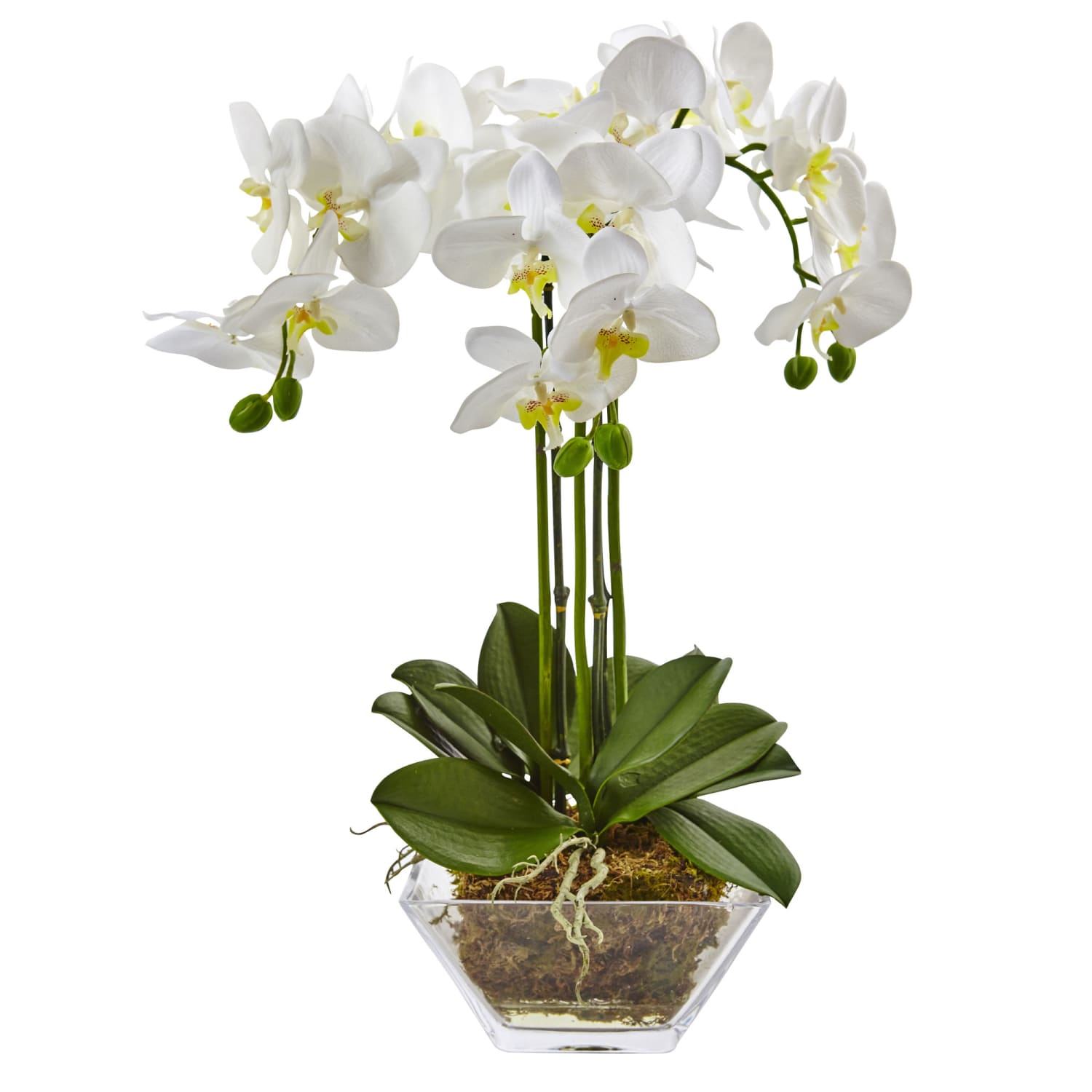 Nearly Natural 22inH Artificial Triple Phalaenopsis Orchid With Glass Vase, White/Clear