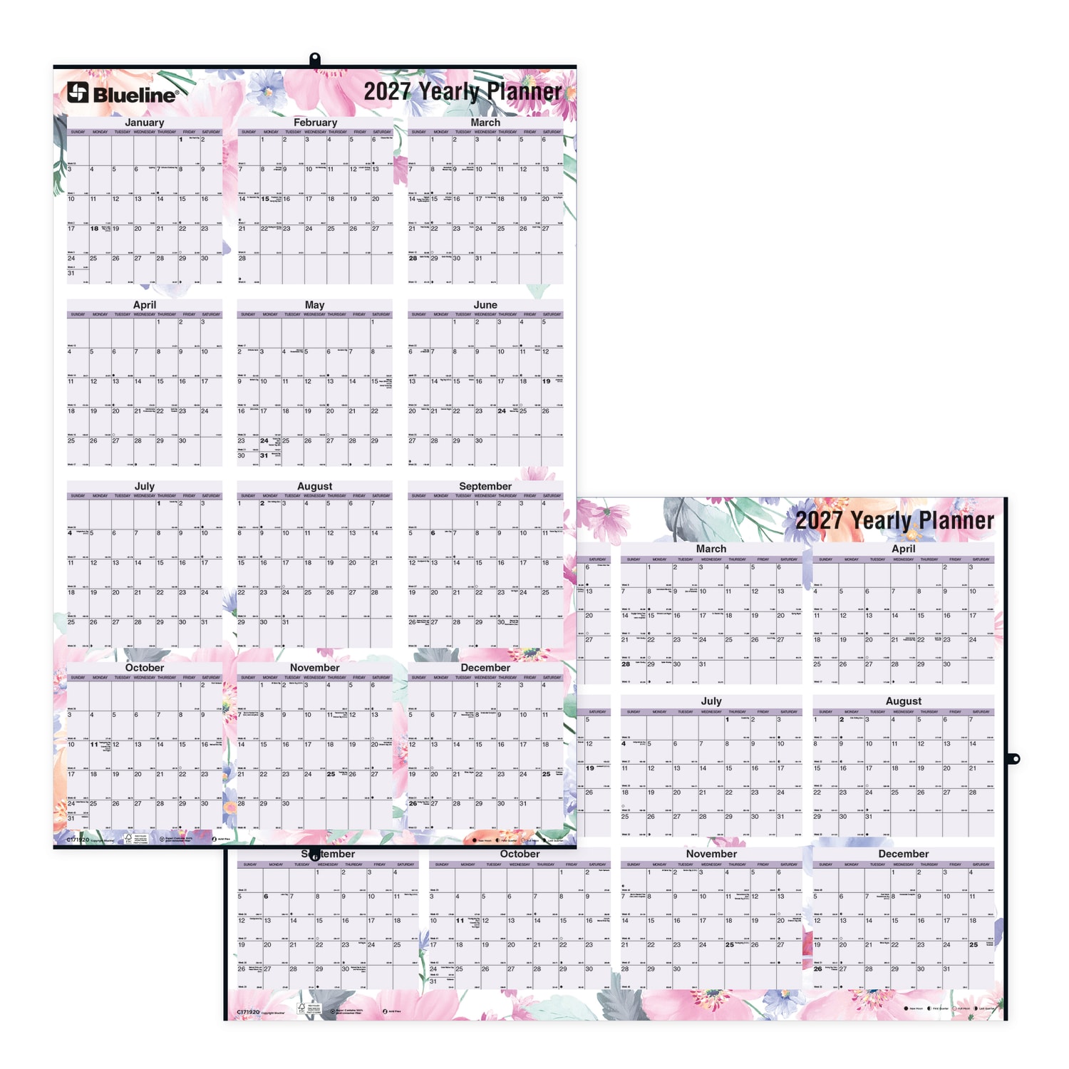 2027 Blueline Colorful Laminated, Reversible And Erasable Yearly Wall Planner, 24in x 36in, 100% Recycled, Passion, January To December, Total Qty 1