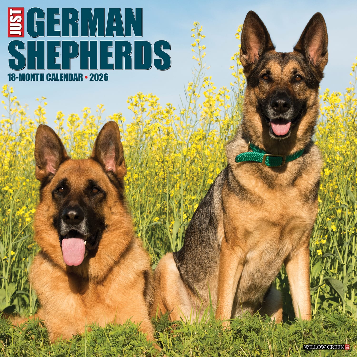 2026 Willow Creek Press Animals Monthly Wall Calendar, 12in x 12in, German Shepherds, January To December, 51238 - Image 3