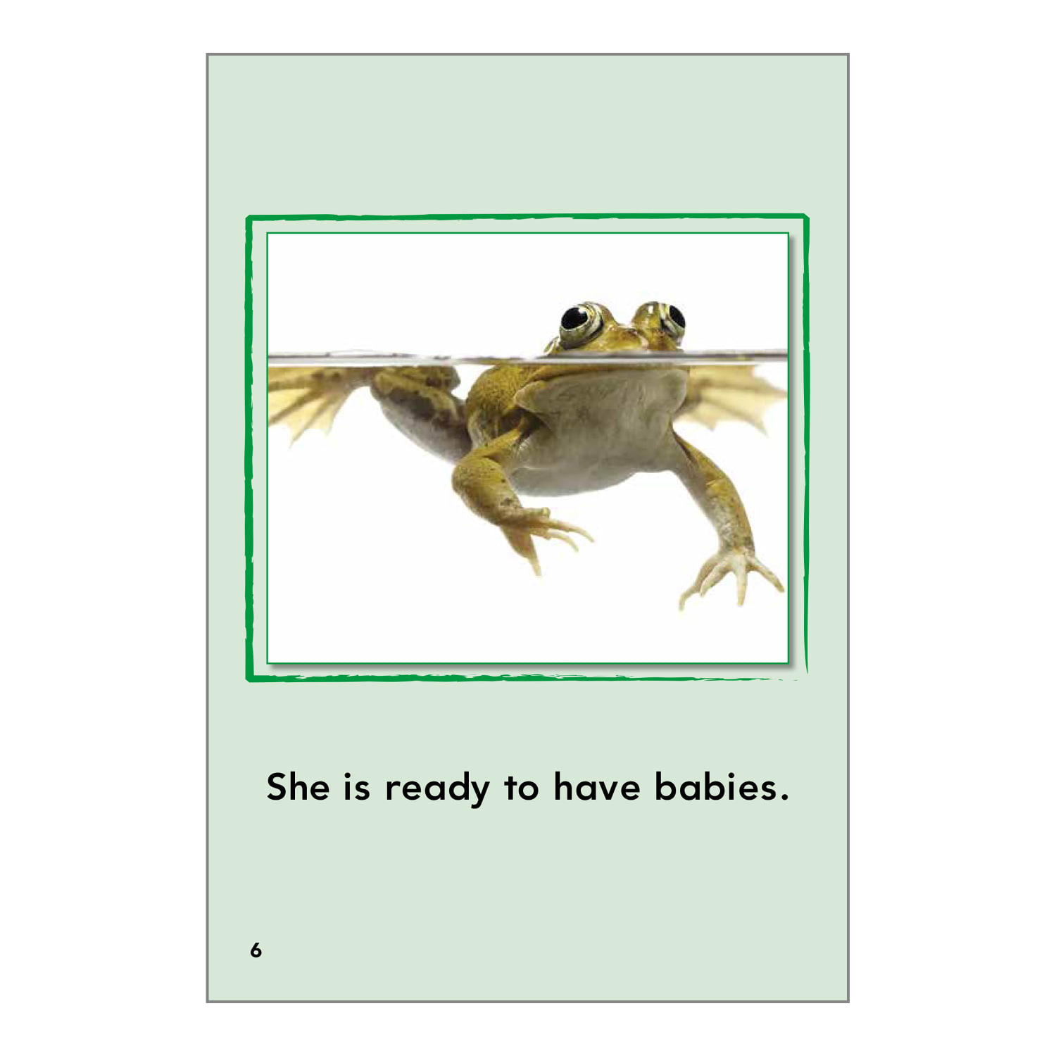 Teacher Created Materials Animals And Insects Book Set, Grades 1 - 2, Set Of 11 Books - Image 4