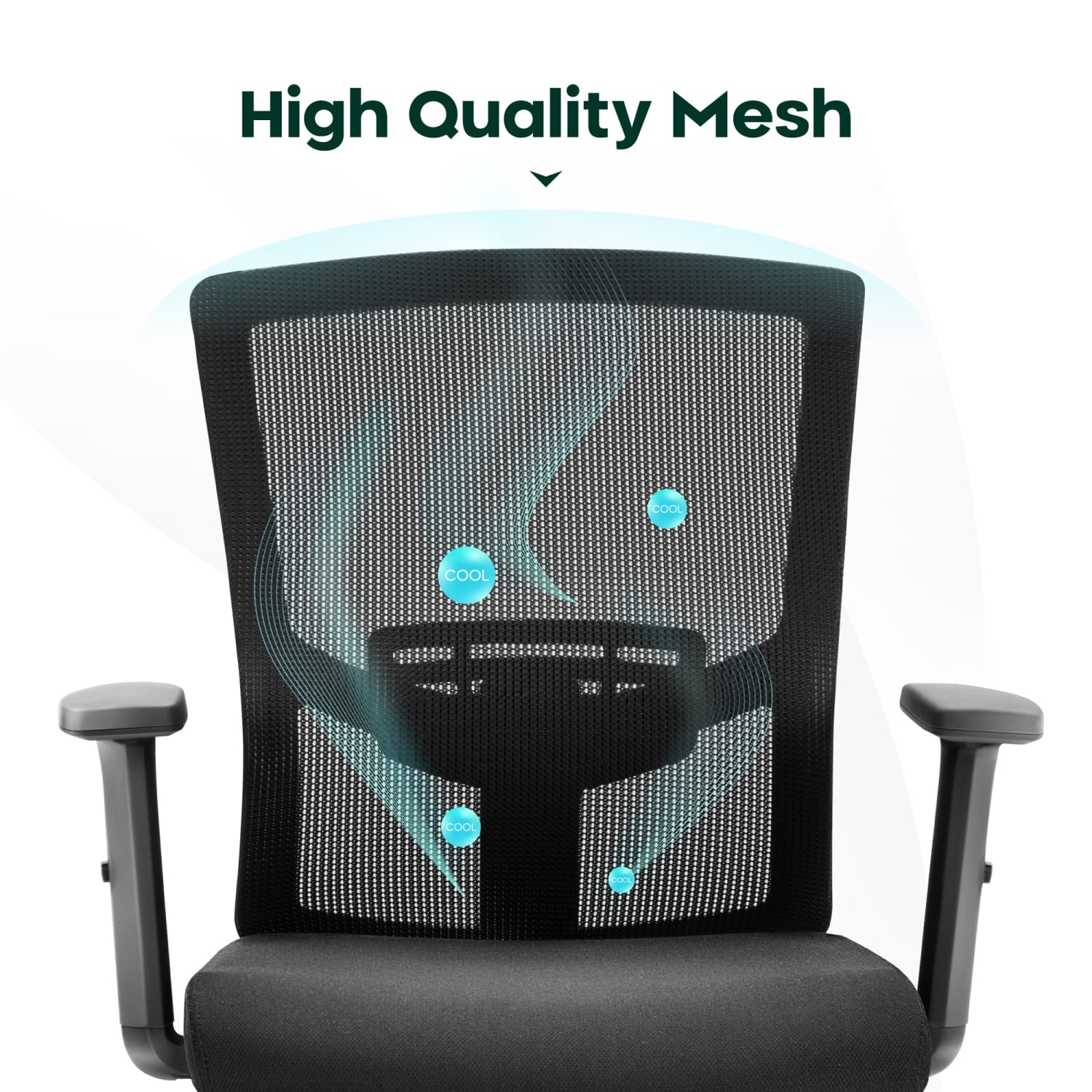 ALPHA HOME Ergonomic Mesh Mid Back Office Task Chair Black PopularChairscom