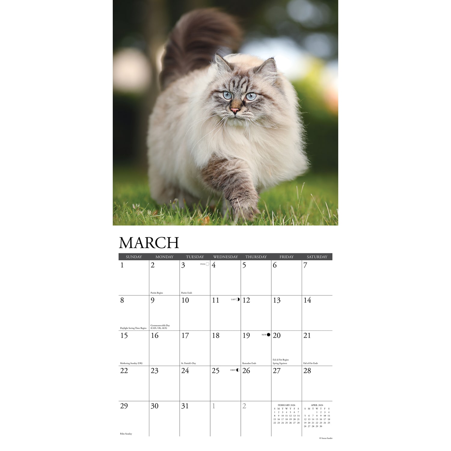 2026 Willow Creek Press Animals Monthly Wall Calendar, 12in x 12in, Cats, January To December, 50613 - Image 3