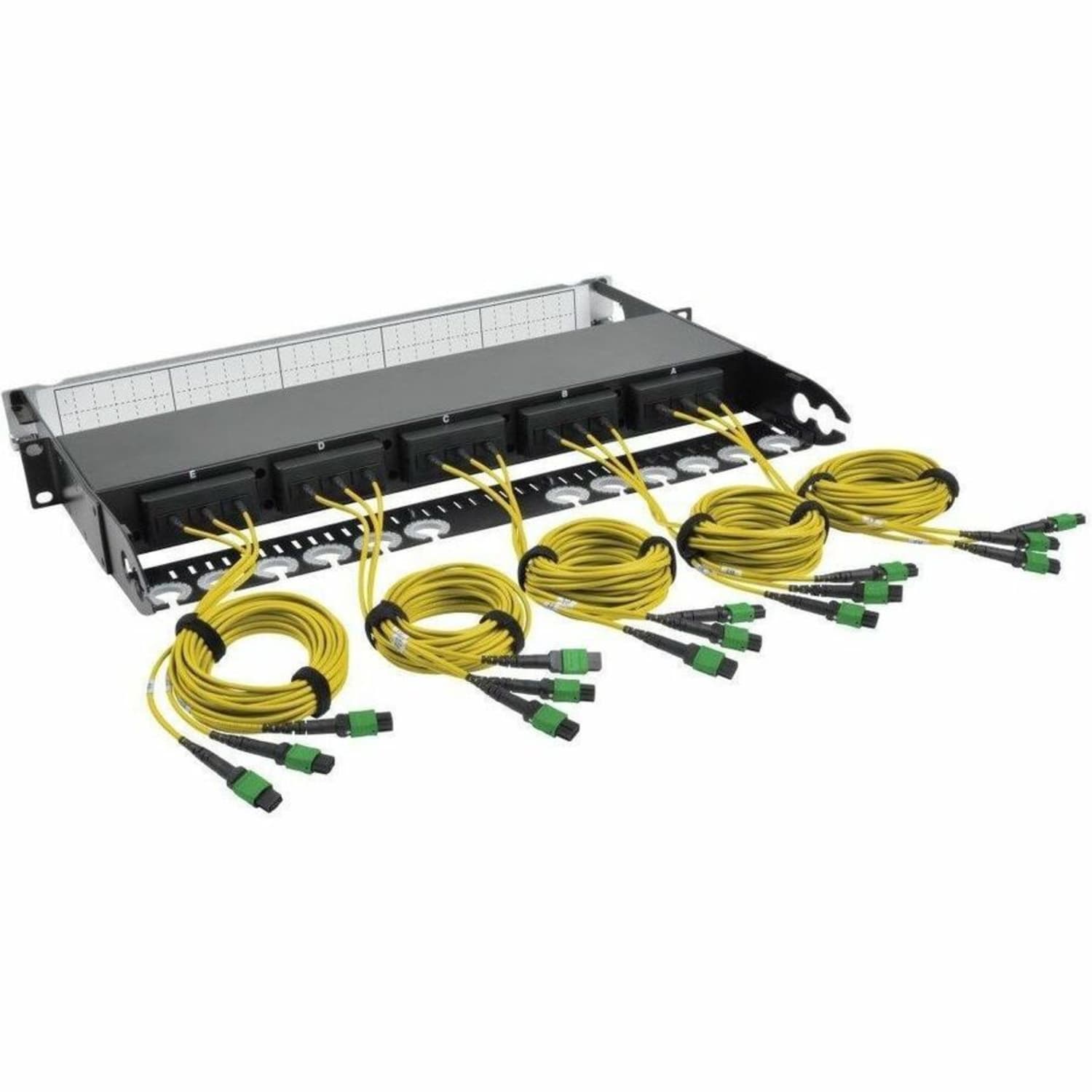 Tripp Lite 40GB-10GB 8.3/125 OM4 Fiber Patch Panel - Image 3