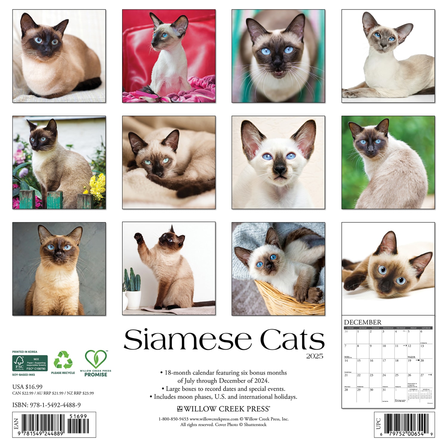2025 Willow Creek Press Monthly Wall Calendar, 12in x 12in, Siamese Cats, January 2025 to December 2025, 44889 - Image 6