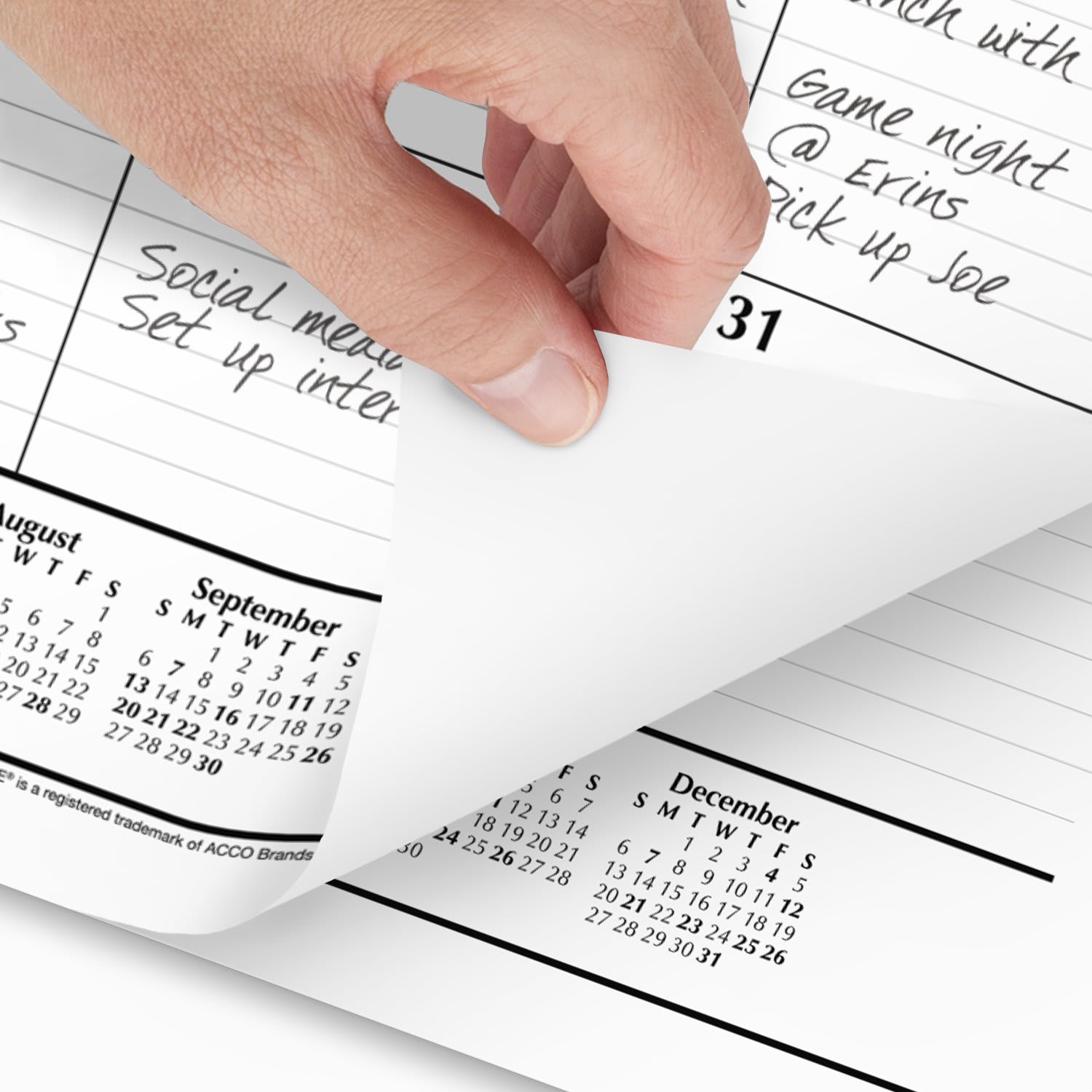 AT-A-GLANCE 2026 Monthly Desk Pad Calendar, Standard, 21 3/4in x 17in - Image 4
