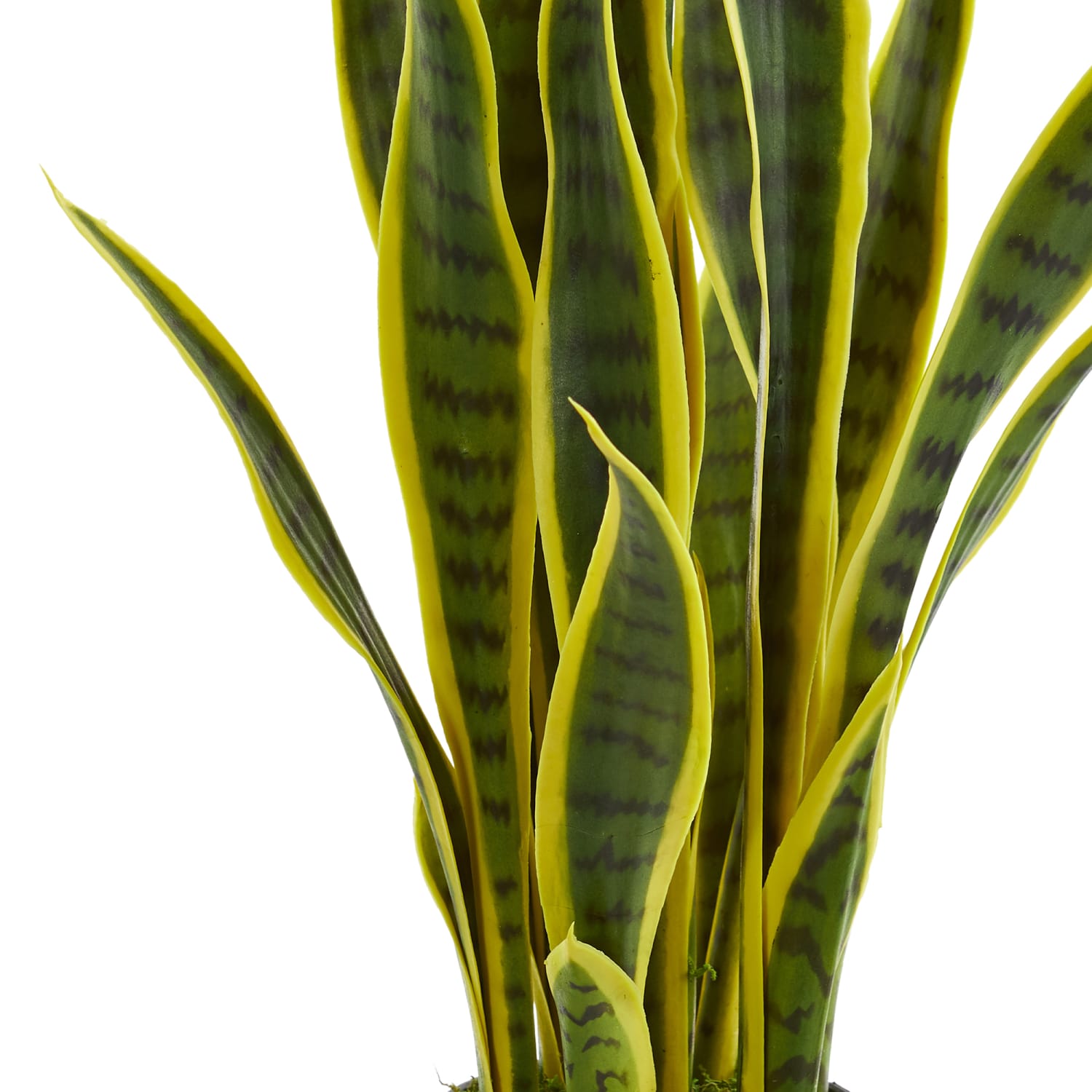 Nearly Natural Sansevieria 26in Artificial Plant With Pot, Green/Black - Image 3