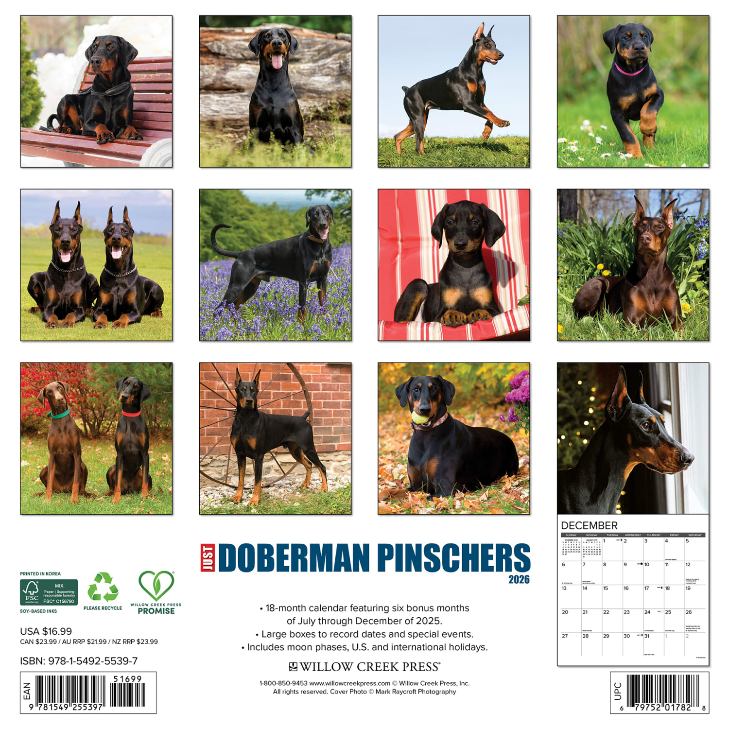2026 Willow Creek Press Animals Monthly Wall Calendar, 12in x 12in, Doberman Pinschers, January To December, 55397 - Image 6
