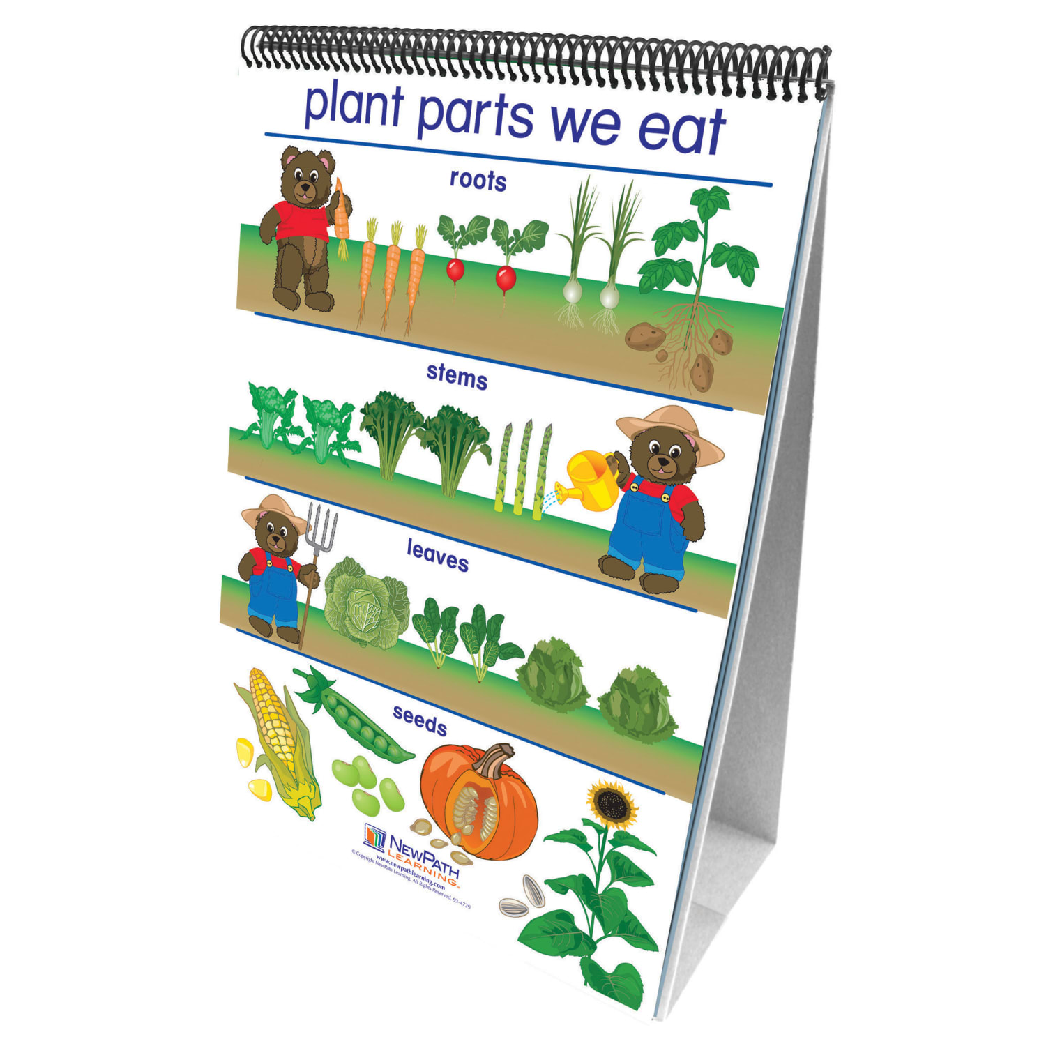 NewPath Learning Early Childhood Science Readiness Flip Charts, All About Plants - Image 3