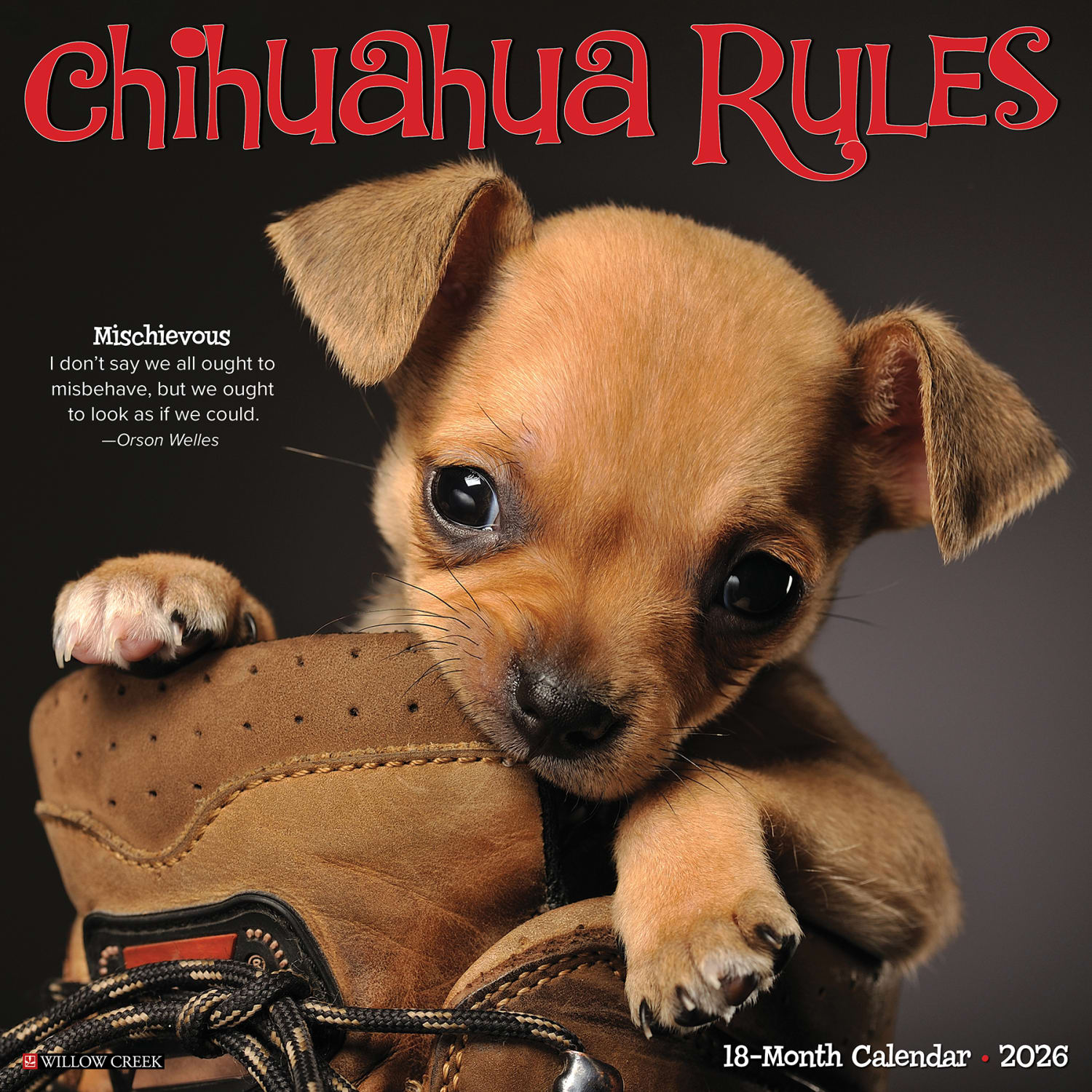 2026 Willow Creek Press Animals Monthly Wall Calendar, 12in x 12in, Chihuahua Rules, January To December, 50682 - Image 3