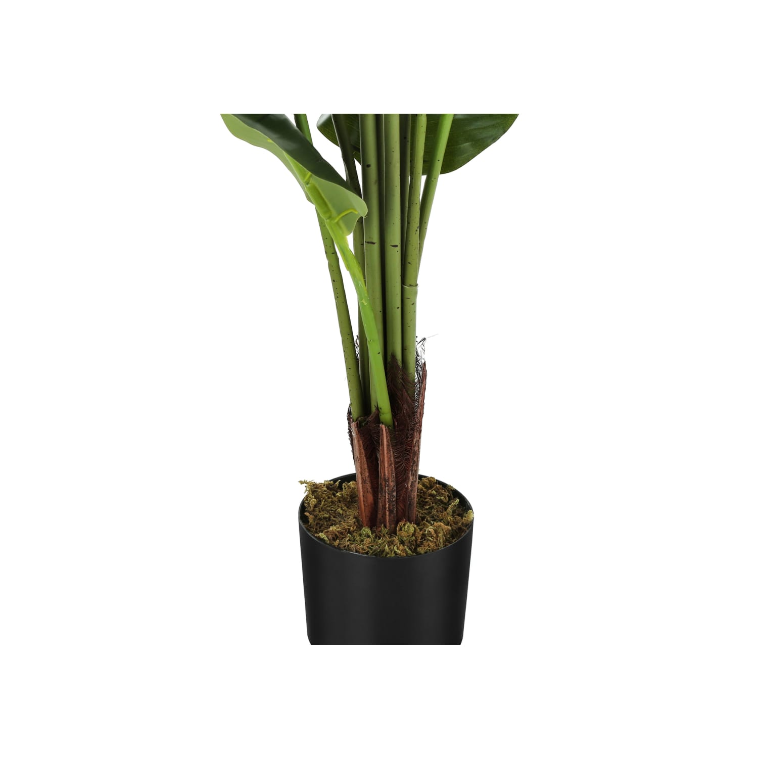 Monarch Specialties Kira 59inH Artificial Plant With Pot, 59inH x 27-1/2inW x 25-1/2inD, Green - Image 4