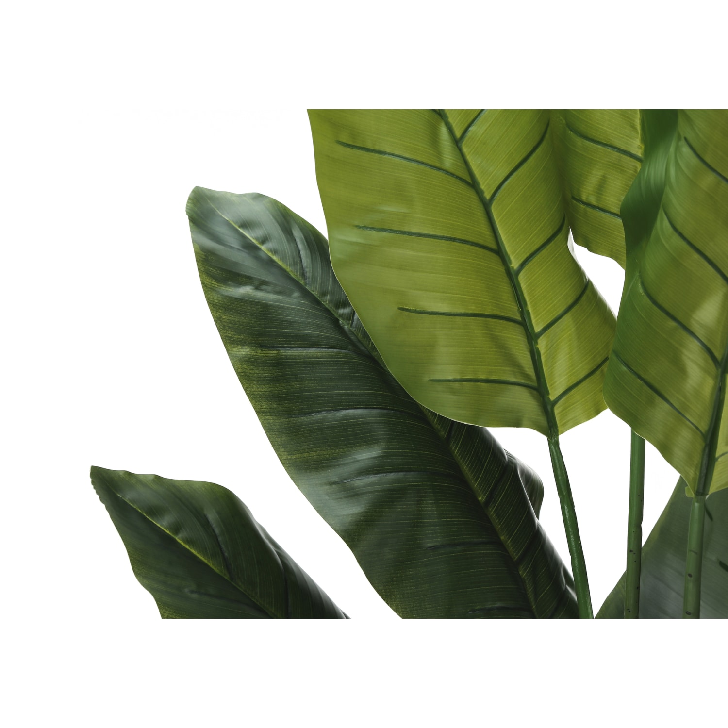Monarch Specialties Kira 59inH Artificial Plant With Pot, 59inH x 27-1/2inW x 25-1/2inD, Green - Image 5
