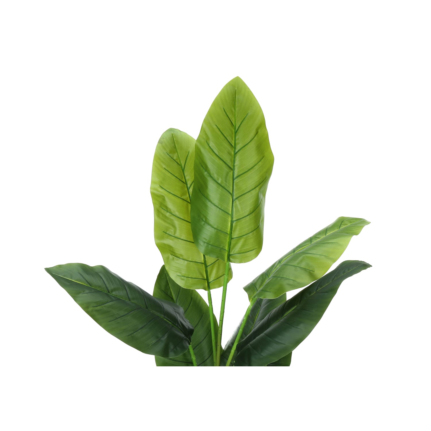 Monarch Specialties Kira 59inH Artificial Plant With Pot, 59inH x 27-1/2inW x 25-1/2inD, Green - Image 6