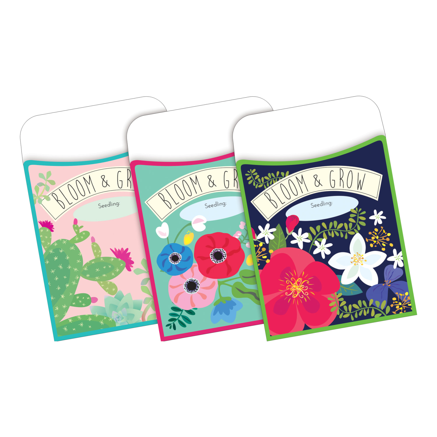 Barker Creek Petals And Prickles Classroom And Bulletin Board Set, Multicolor - Image 6