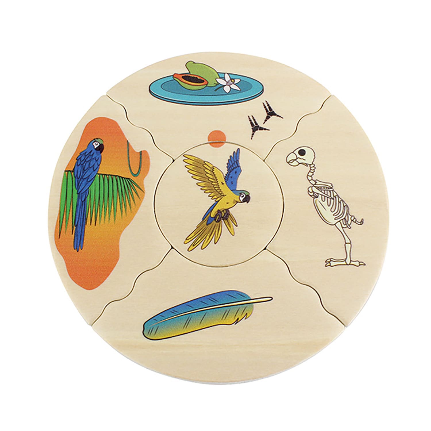 Beleduc Nawito Animal Species Puzzles - Image 4