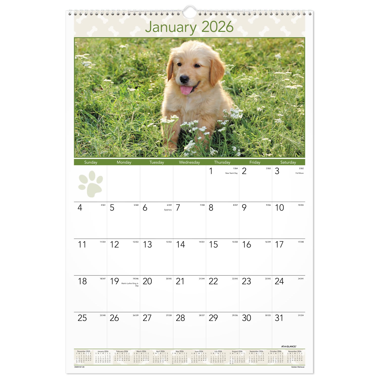 AT-A-GLANCE 2026 Puppies Monthly Wall Calendar, Large, 15 1/2in x 22 3/4in