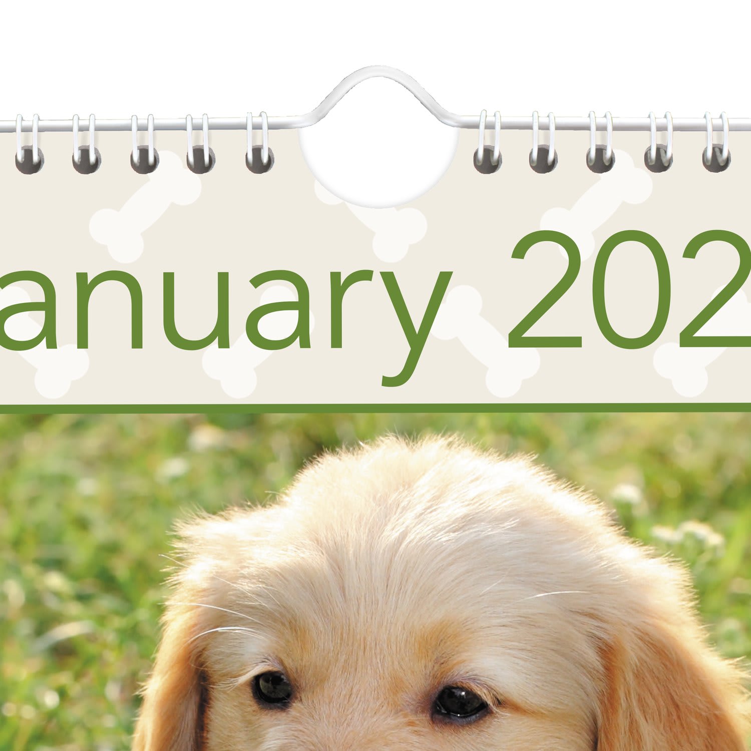 AT-A-GLANCE 2026 Puppies Monthly Wall Calendar, Large, 15 1/2in x 22 3/4in - Image 6