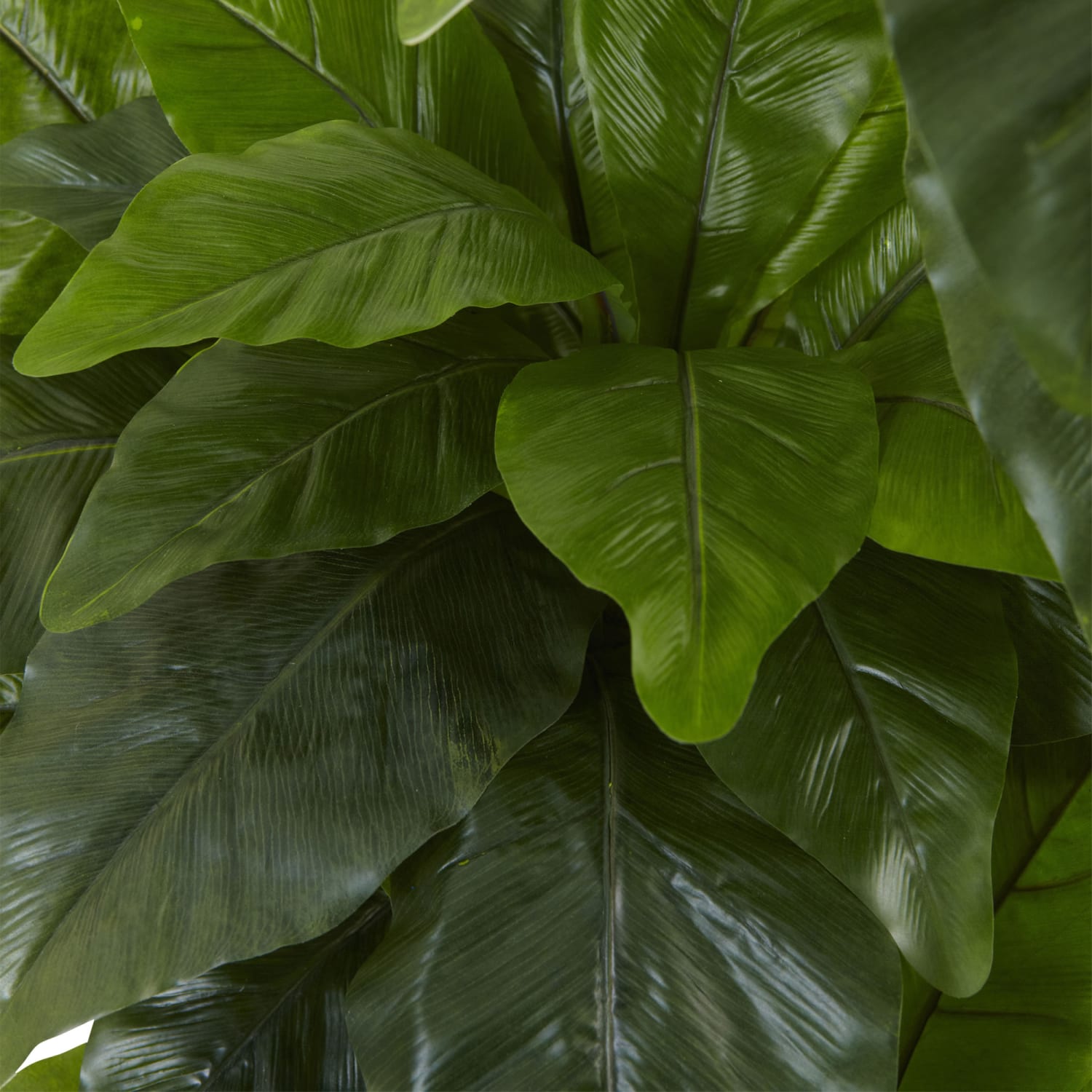 Nearly Natural 5ftH Polyester Bird Nest Fern Tree With Pot, Green - Image 3