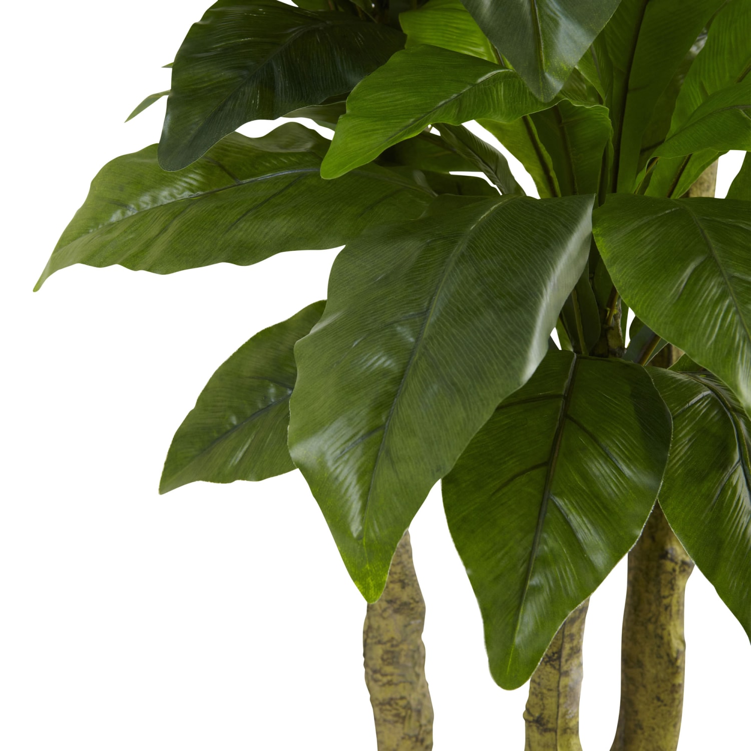 Nearly Natural 5ftH Polyester Bird Nest Fern Tree With Pot, Green - Image 4