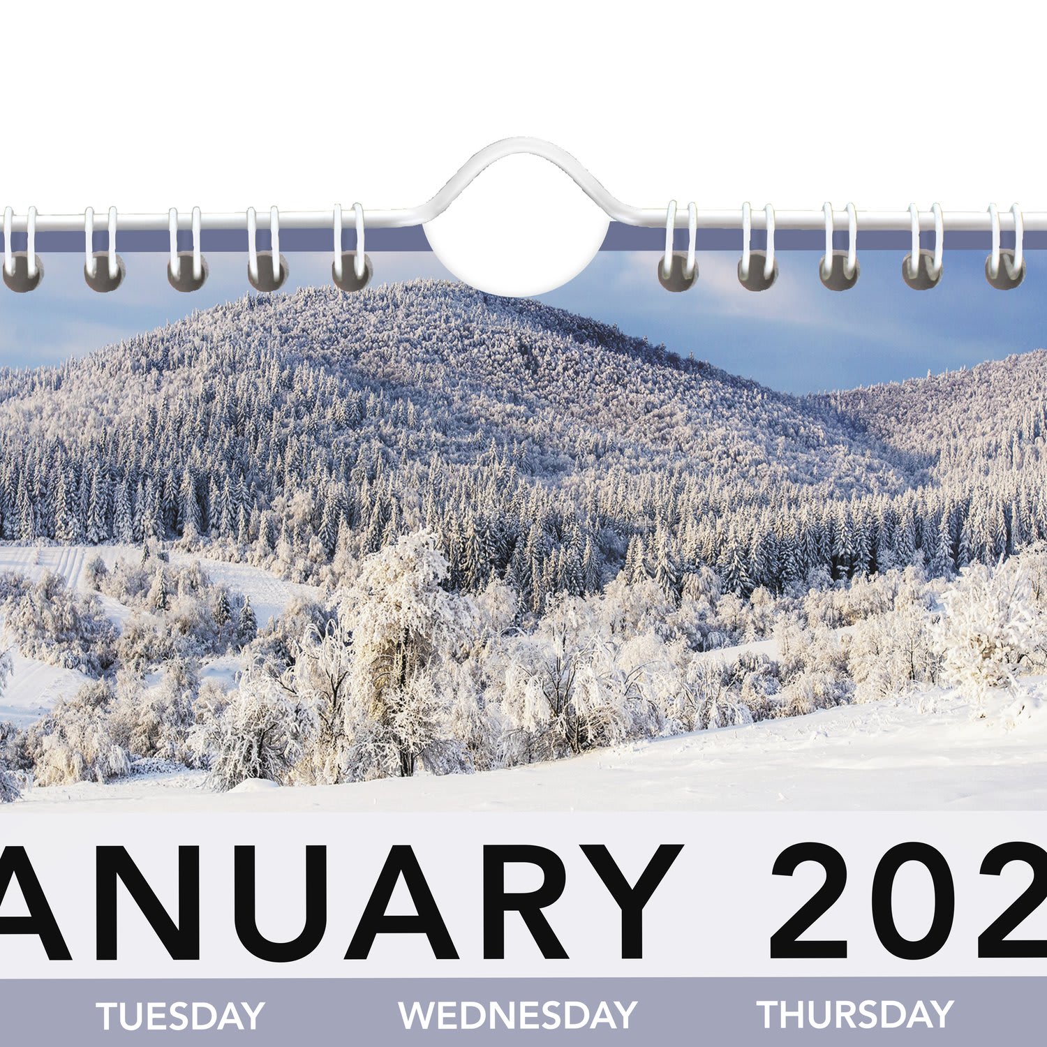 AT-A-GLANCE 2026 Landscape Monthly Wall Calendar, Medium, 12in x 12in - Image 6