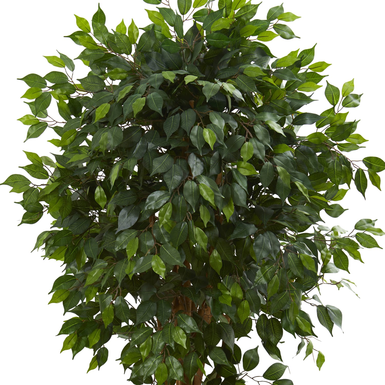 Nearly Natural Ficus 66inH Artificial Tree With Pot, 66inH x 12inW x 12inD, Green - Image 3