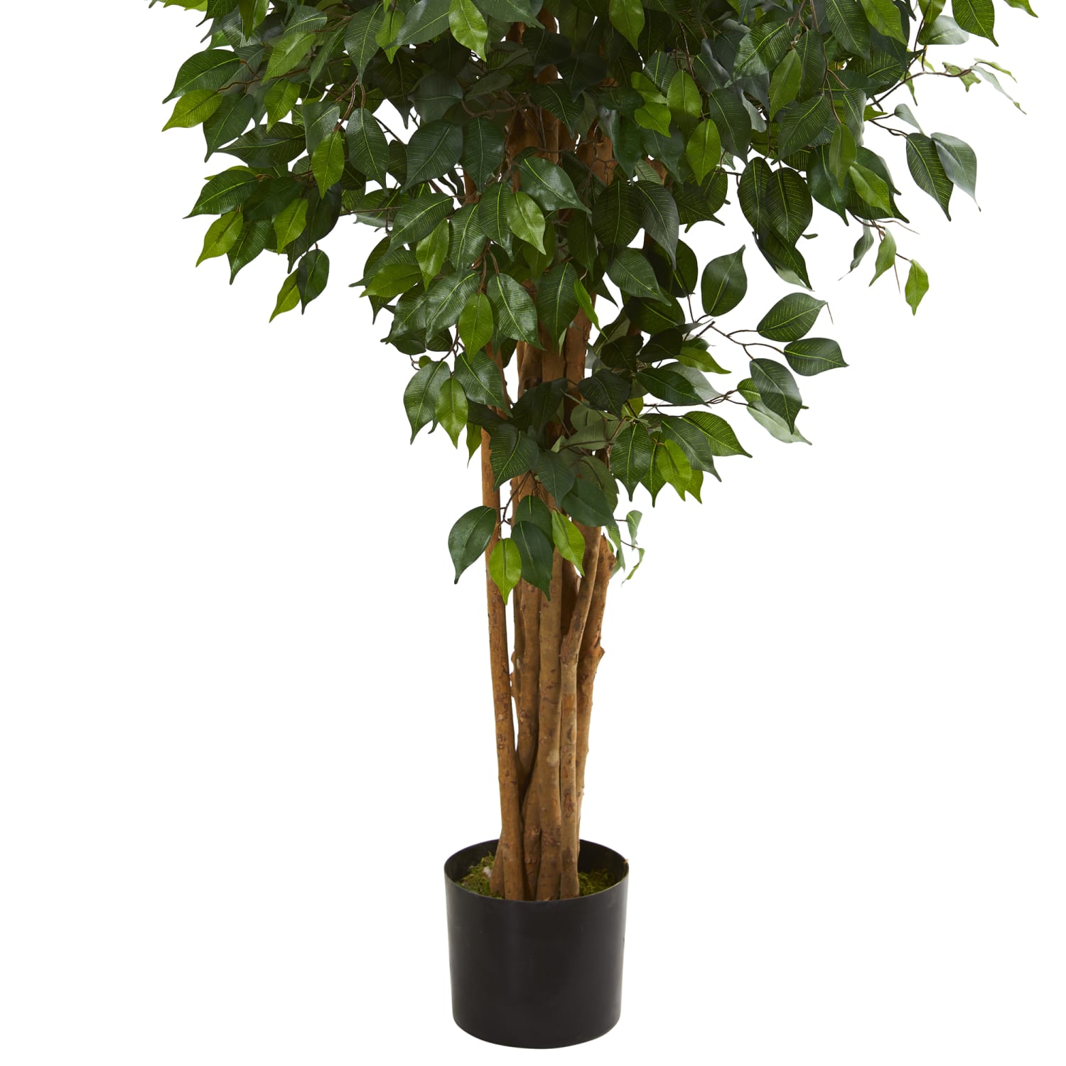 Nearly Natural Ficus 66inH Artificial Tree With Pot, 66inH x 12inW x 12inD, Green - Image 4