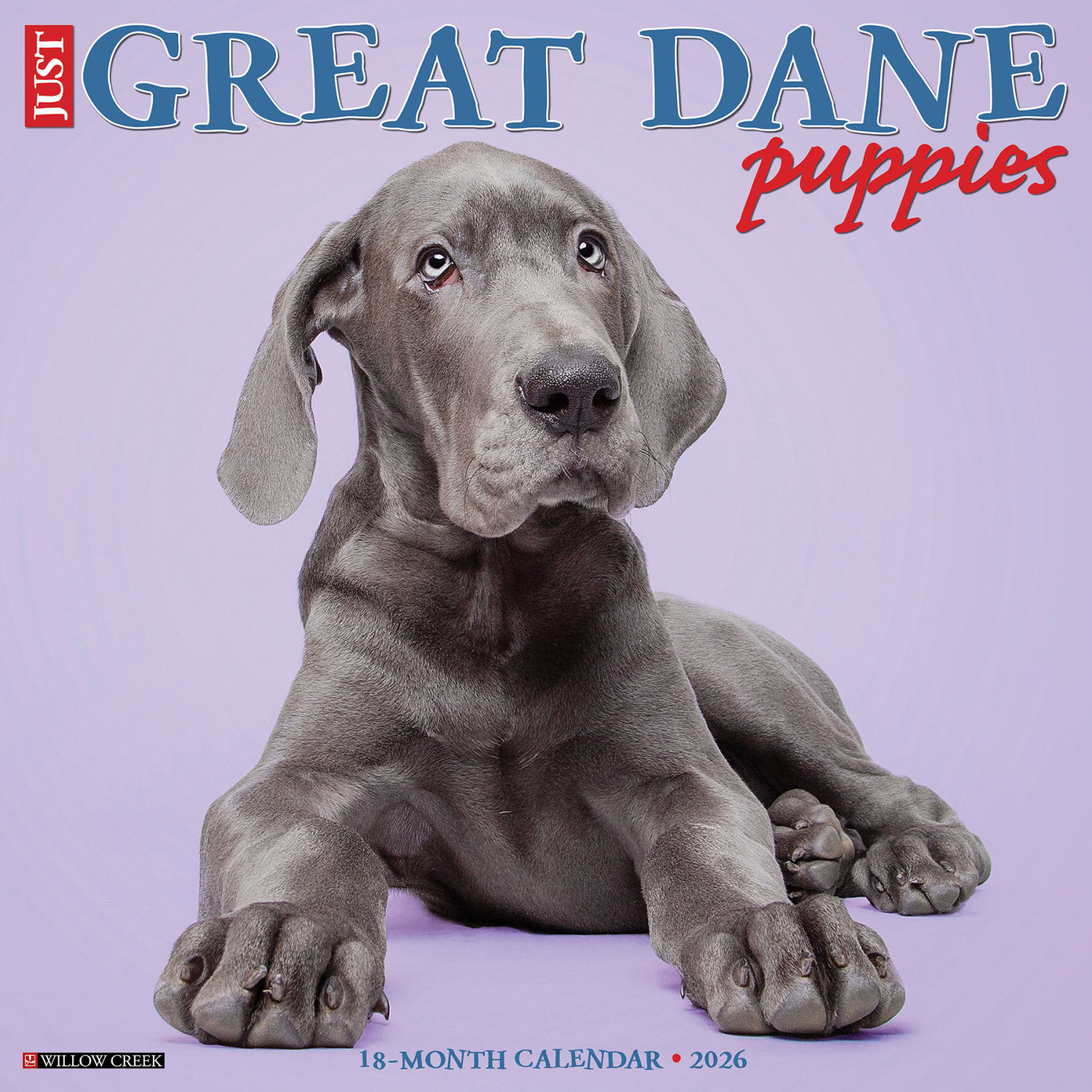 2026 Willow Creek Press Animals Monthly Wall Calendar, 12in x 12in, Great Dane Puppies, January To December, 55441