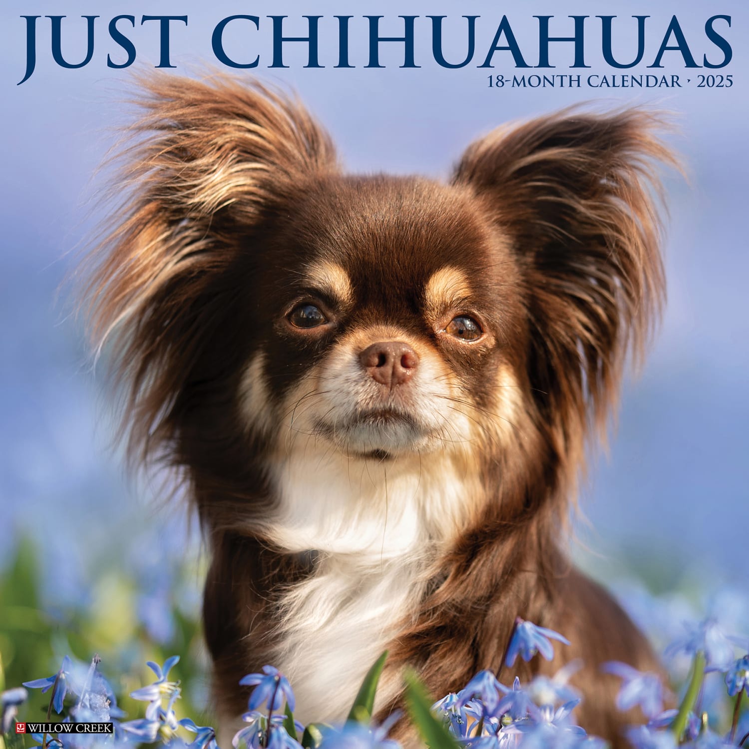 2025 Willow Creek Press Monthly Wall Calendar, 12in x 12in, Chihuahuas, January 2025 to December 2025, 42328
