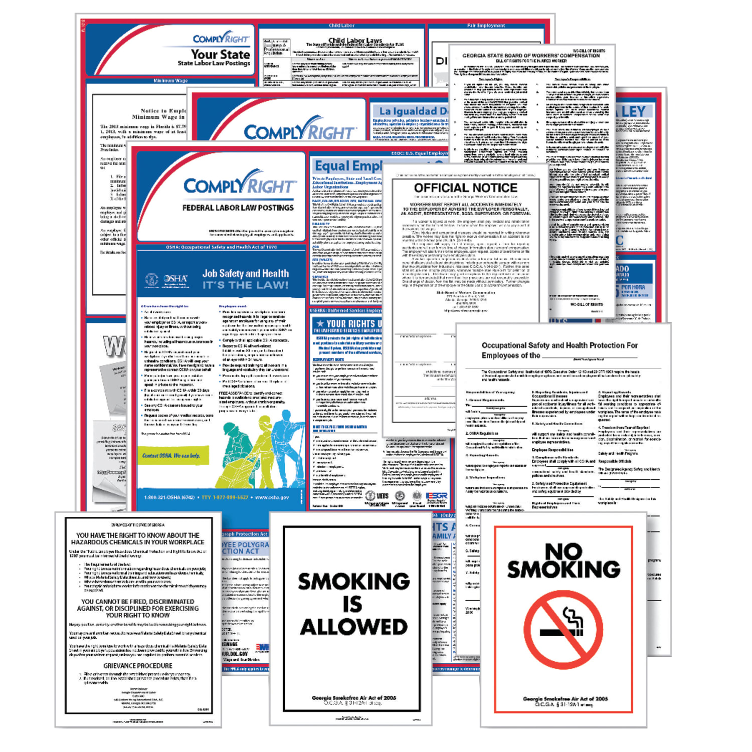 ComplyRight Public Sector Federal (Bilingual) And State (English) Poster Set, Hawaii - Image 4