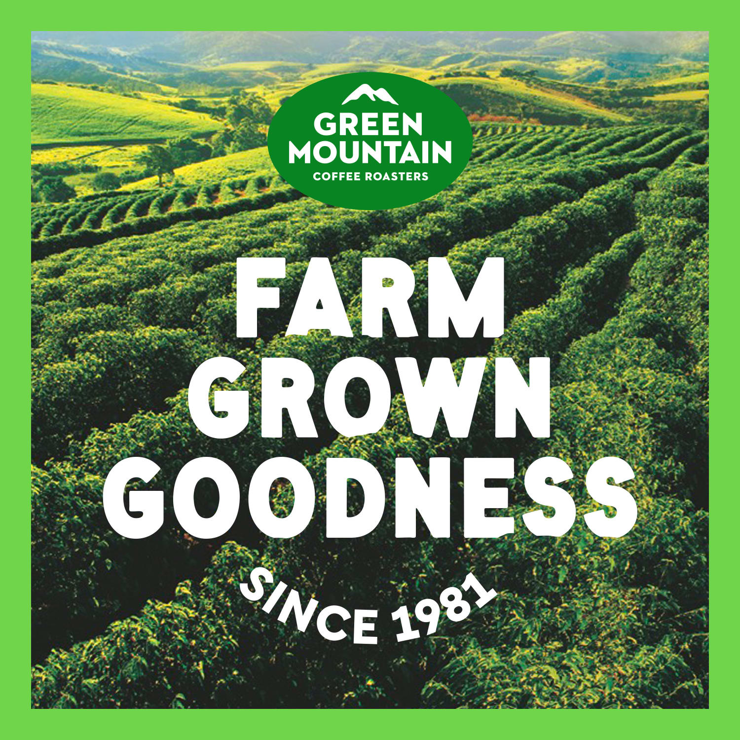 Green Mountain Coffee Dark Magic Extra-Bold Coffee K-Cup Pods, Dark Roast, Classic, Box Of 48 Pods - Image 6