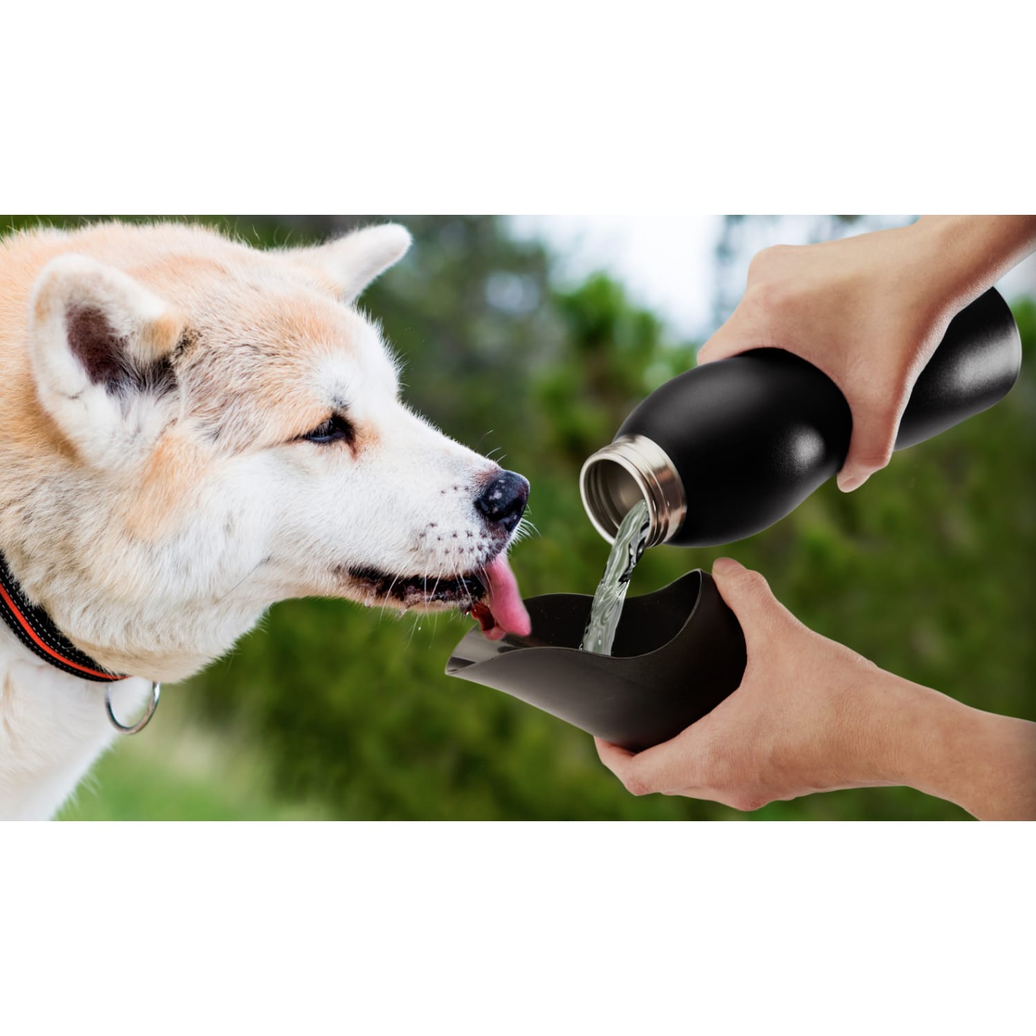Mobile Dog Gear 25 Oz Stainless Steel Water Bottle, Black - Image 3