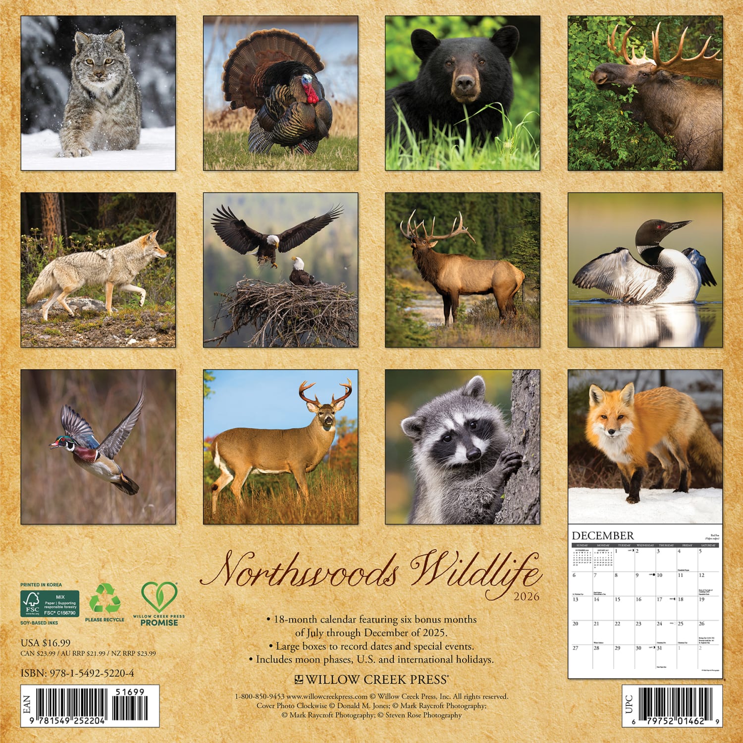 2026 Willow Creek Press Scenic Monthly Wall Calendar, 12in x 12in, Northwoods Wildlife, January To December, 52204 - Image 6