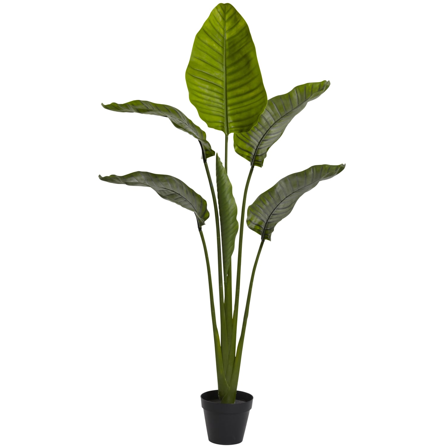 Nearly Natural Travelers Palm 60inH Plastic UV Resistant Indoor/Outdoor Tree, 60inH x 36inW x 12inD, Green