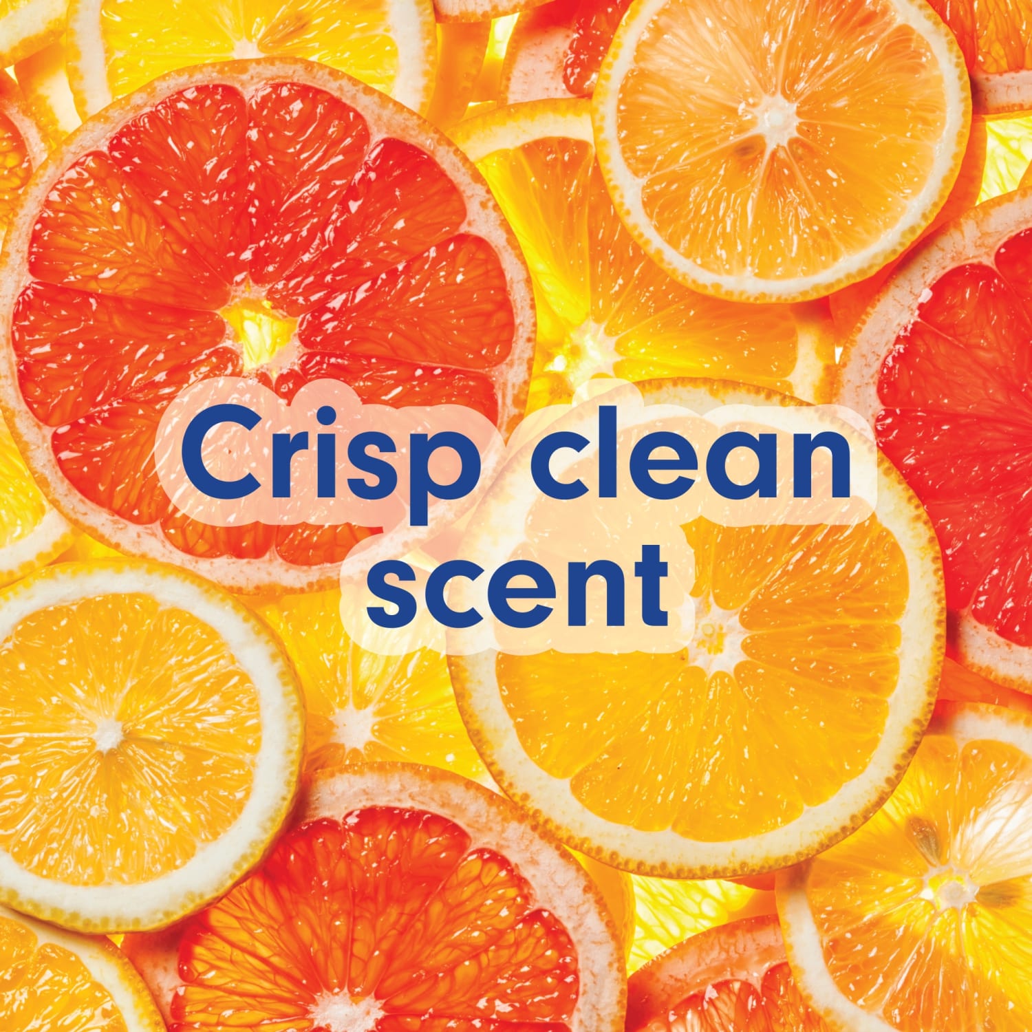 Softsoap Crisp Clean Antibacterial Liquid Hand Soap With Easy Pour Spout, Citrus Scent, 50 Oz, Total Qty 3 - Image 5