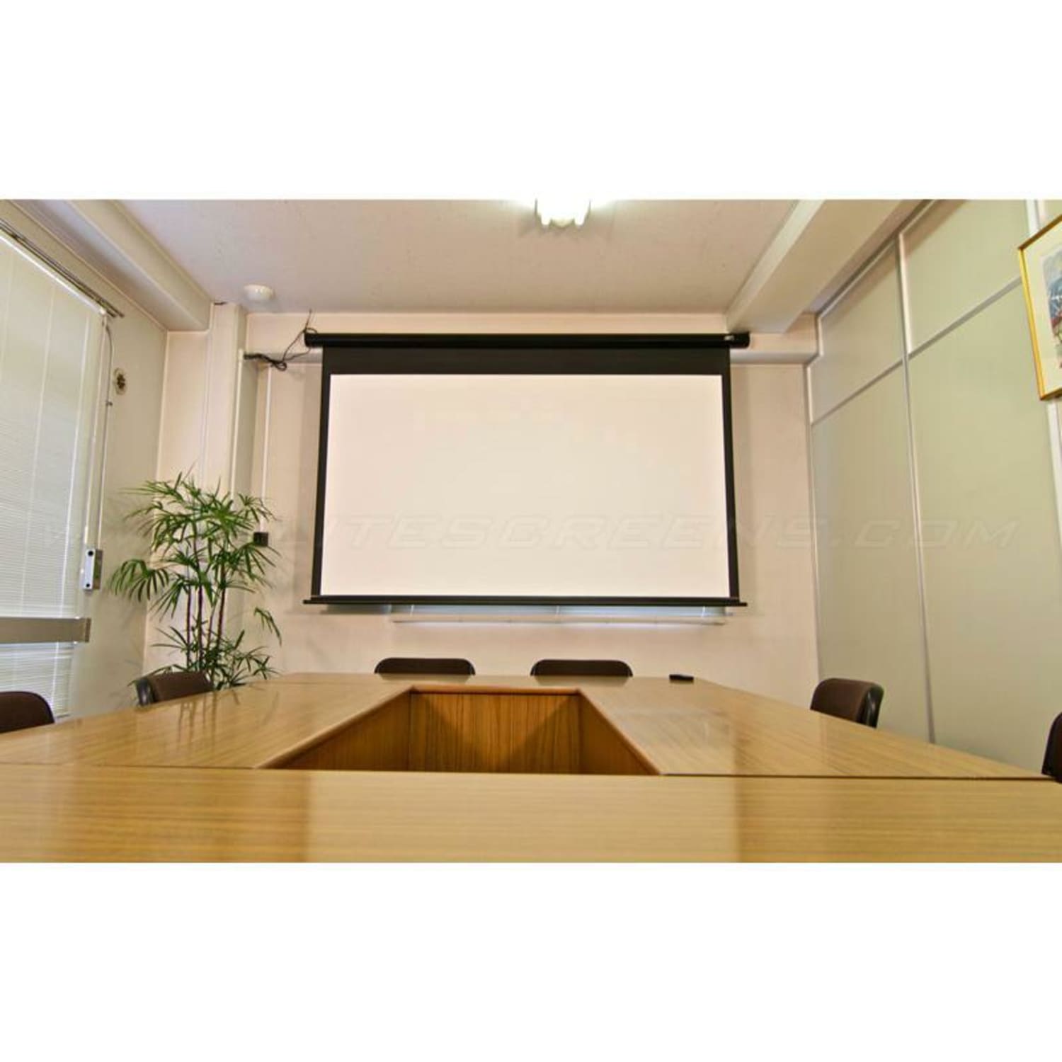 Elite Screens Spectrum Electric Projection Screen - Image 4