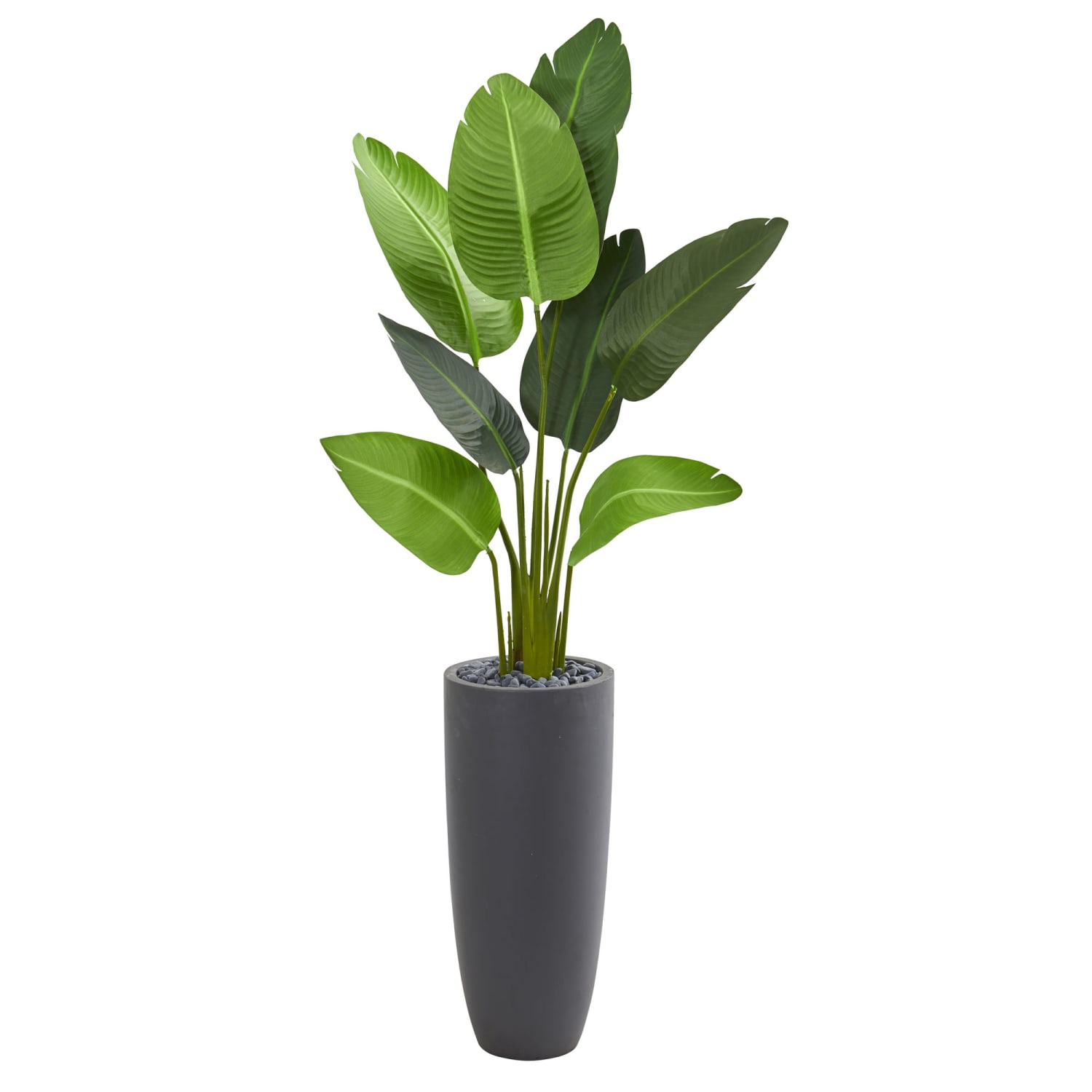 Nearly Natural Travelers Palm 66inH Artificial Tree With Cylinder Planter, 66inH x 28inW x 22inD, Green