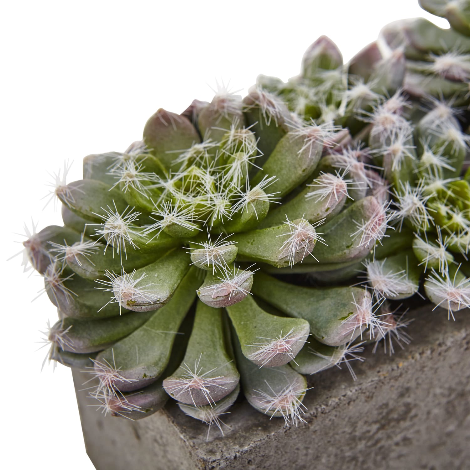 Nearly Natural Succulent 5-1/2inH Plastic Garden With Textured Concrete Planter, 5-1/2inH x 13-1/2inW x 4-1/2inD, Green - Image 4